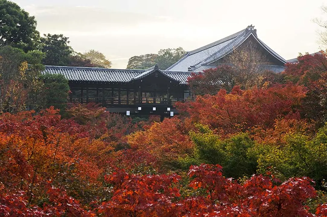 【大本山東福寺】紅葉