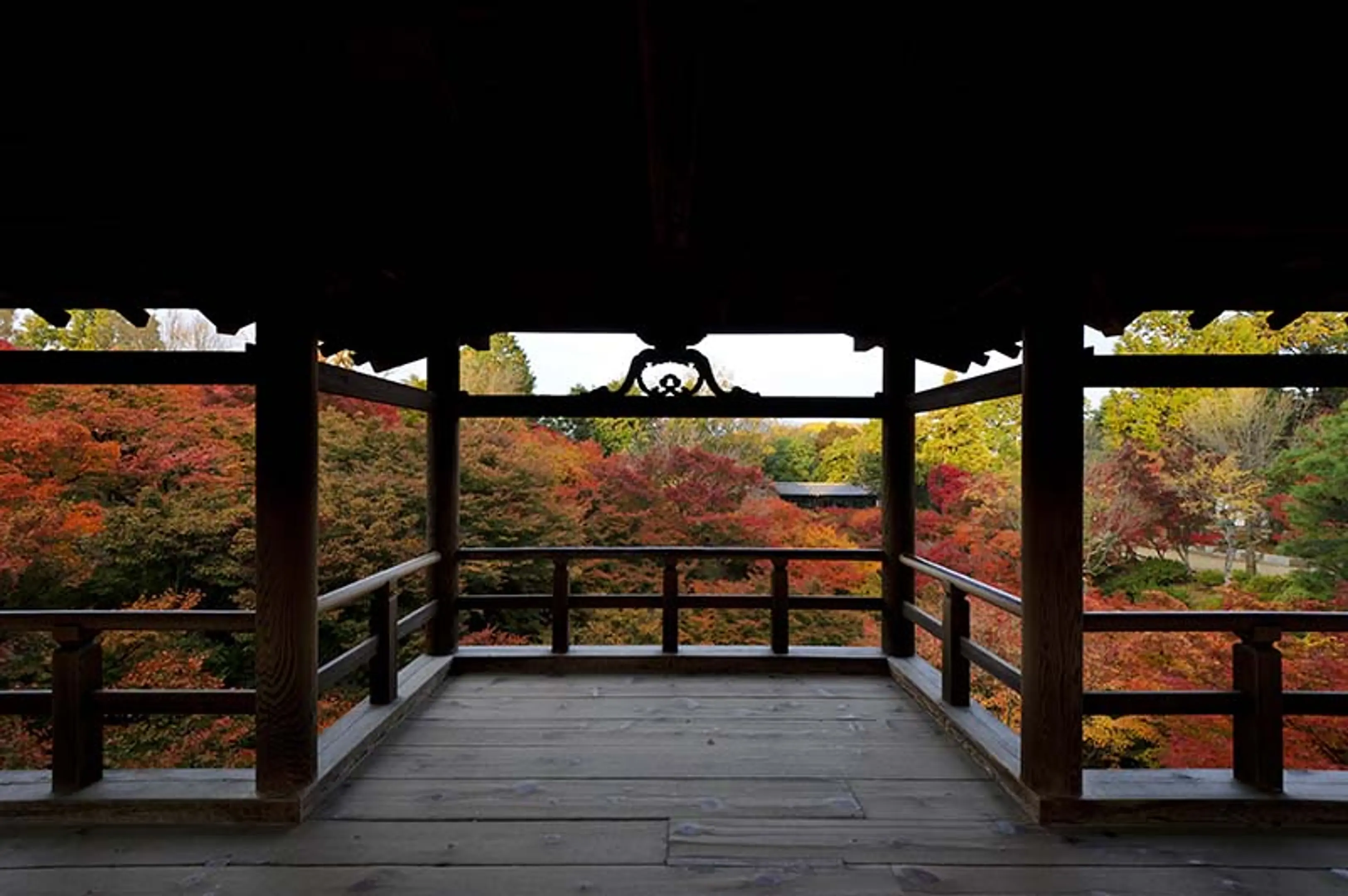 【大本山東福寺】紅葉