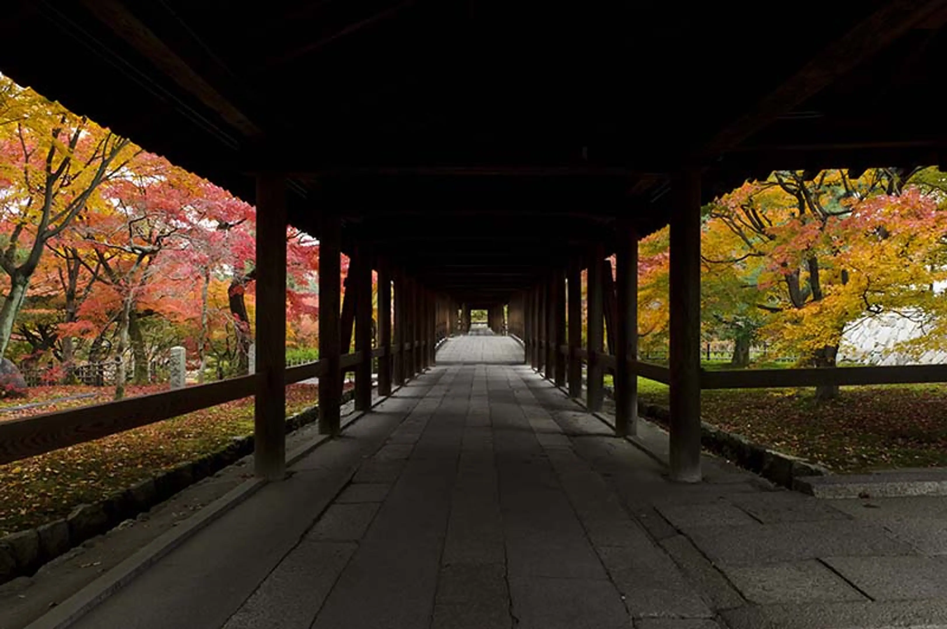【大本山東福寺】紅葉