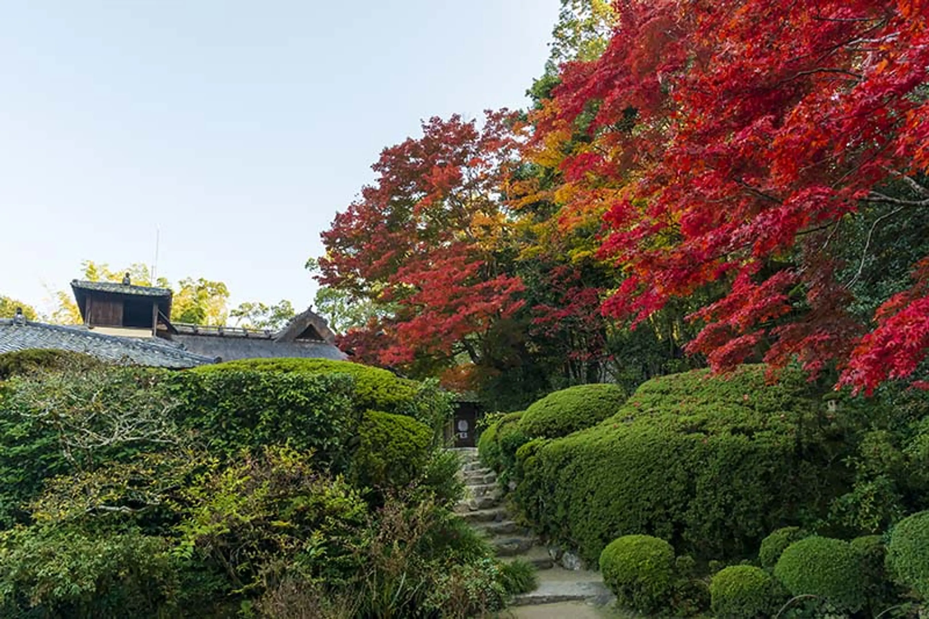 【詩仙堂（丈山寺）】紅葉