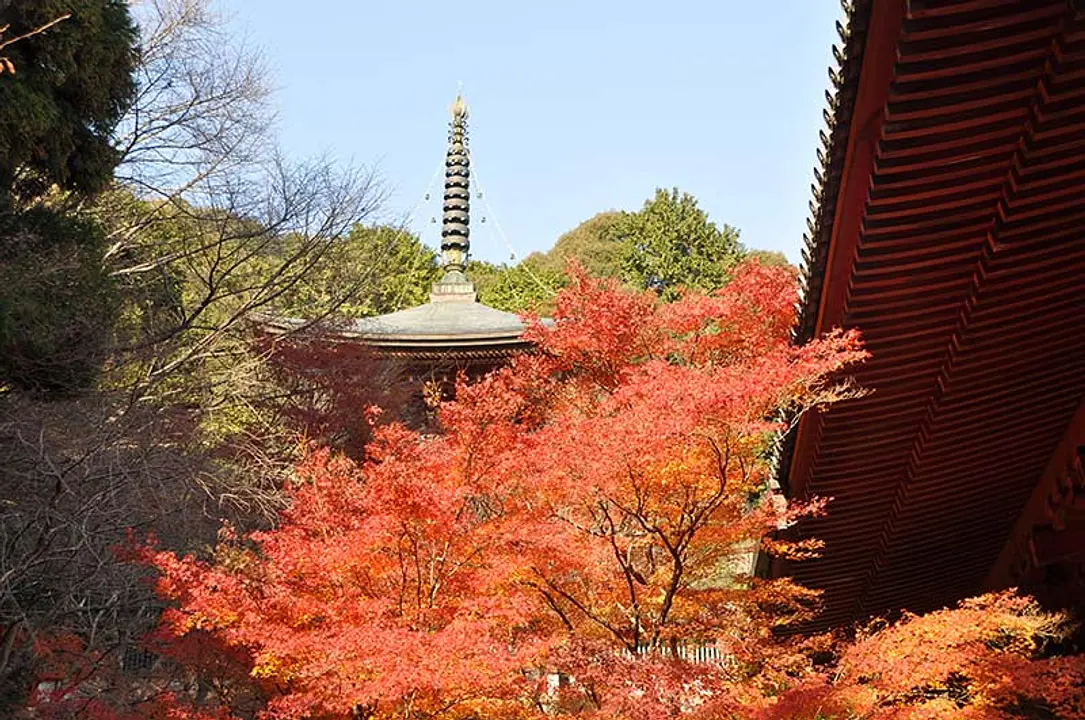 【神護寺】紅葉