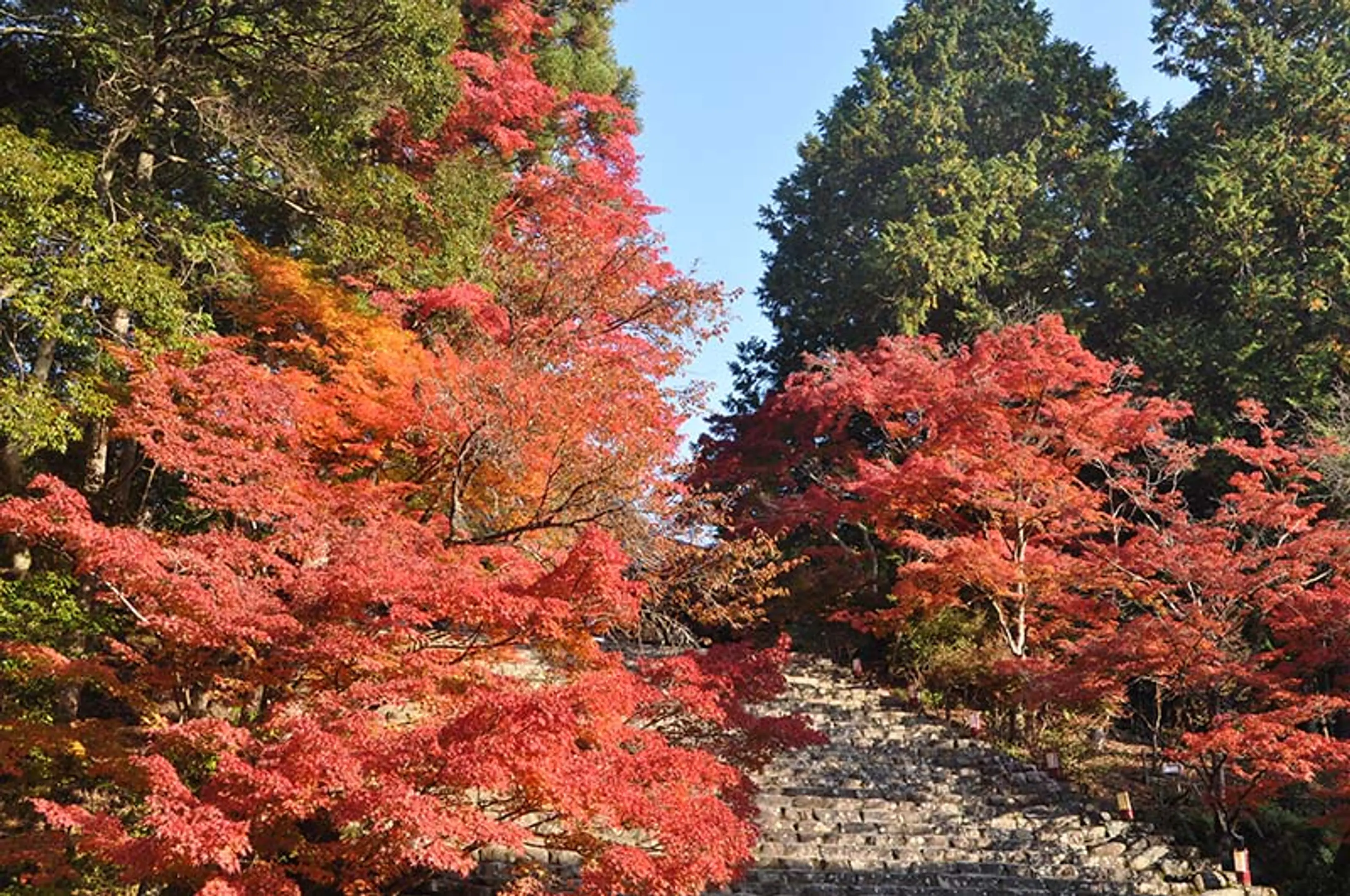 【神護寺】紅葉