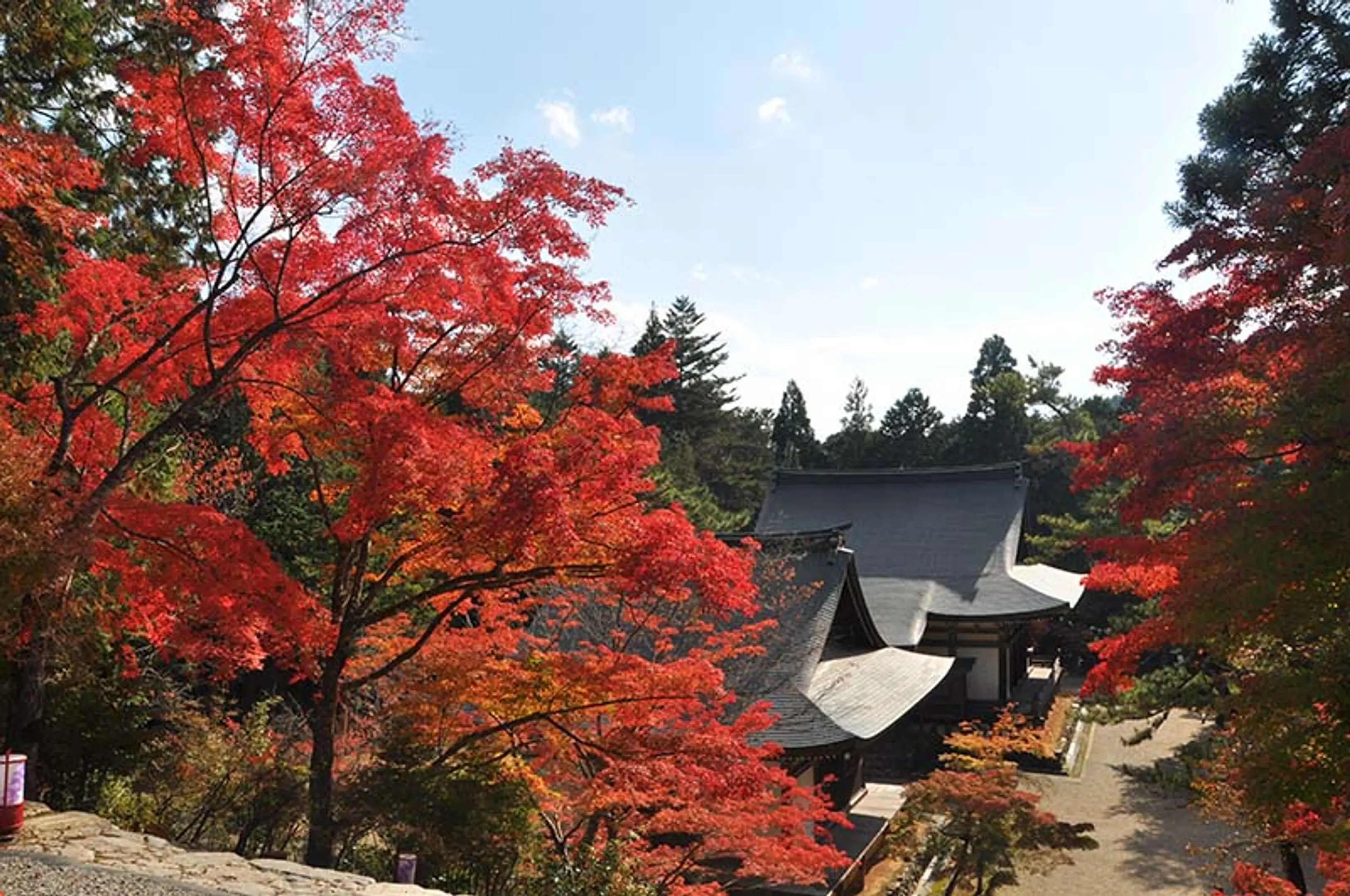 【神護寺】紅葉
