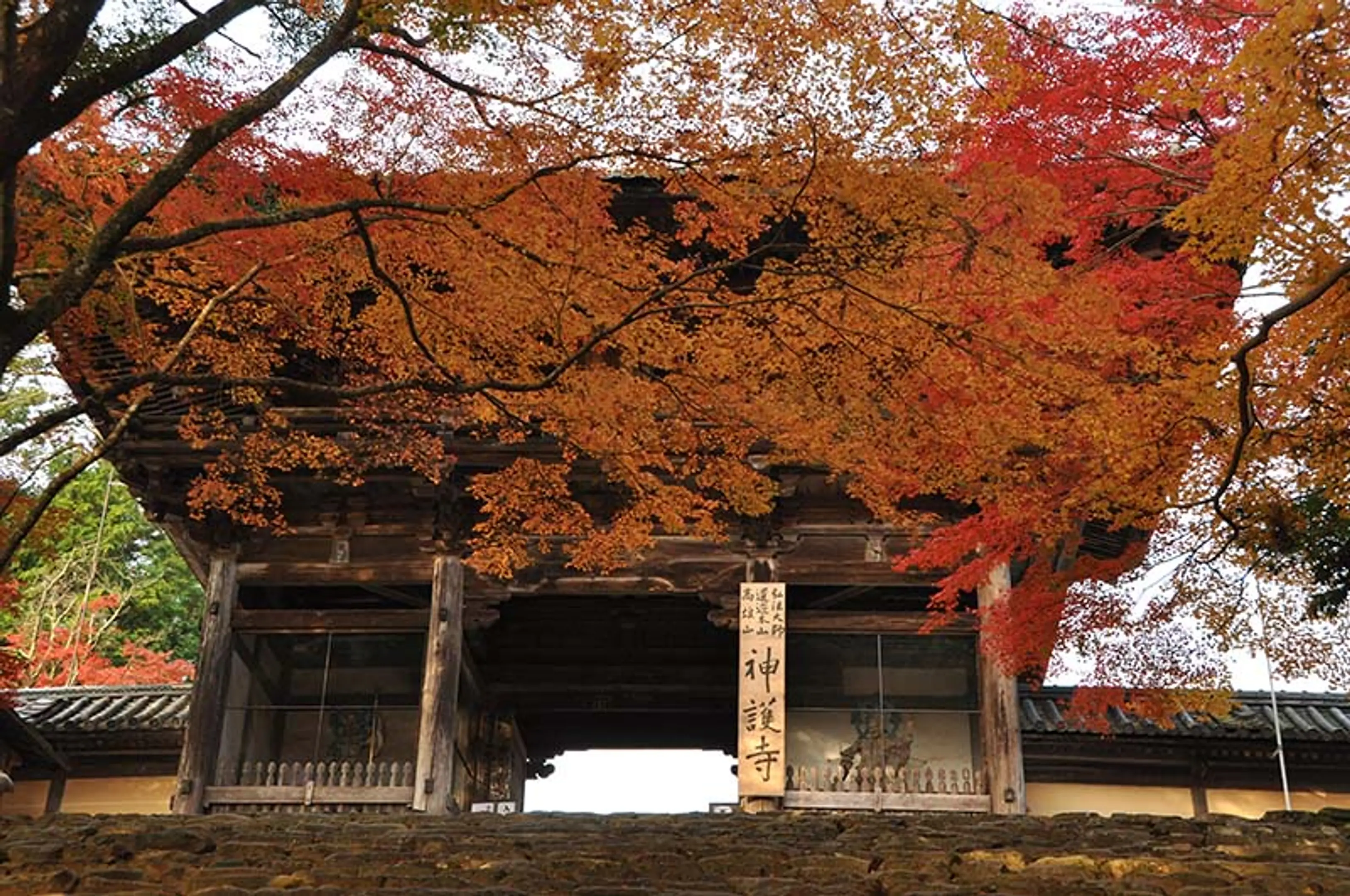 【神護寺】紅葉