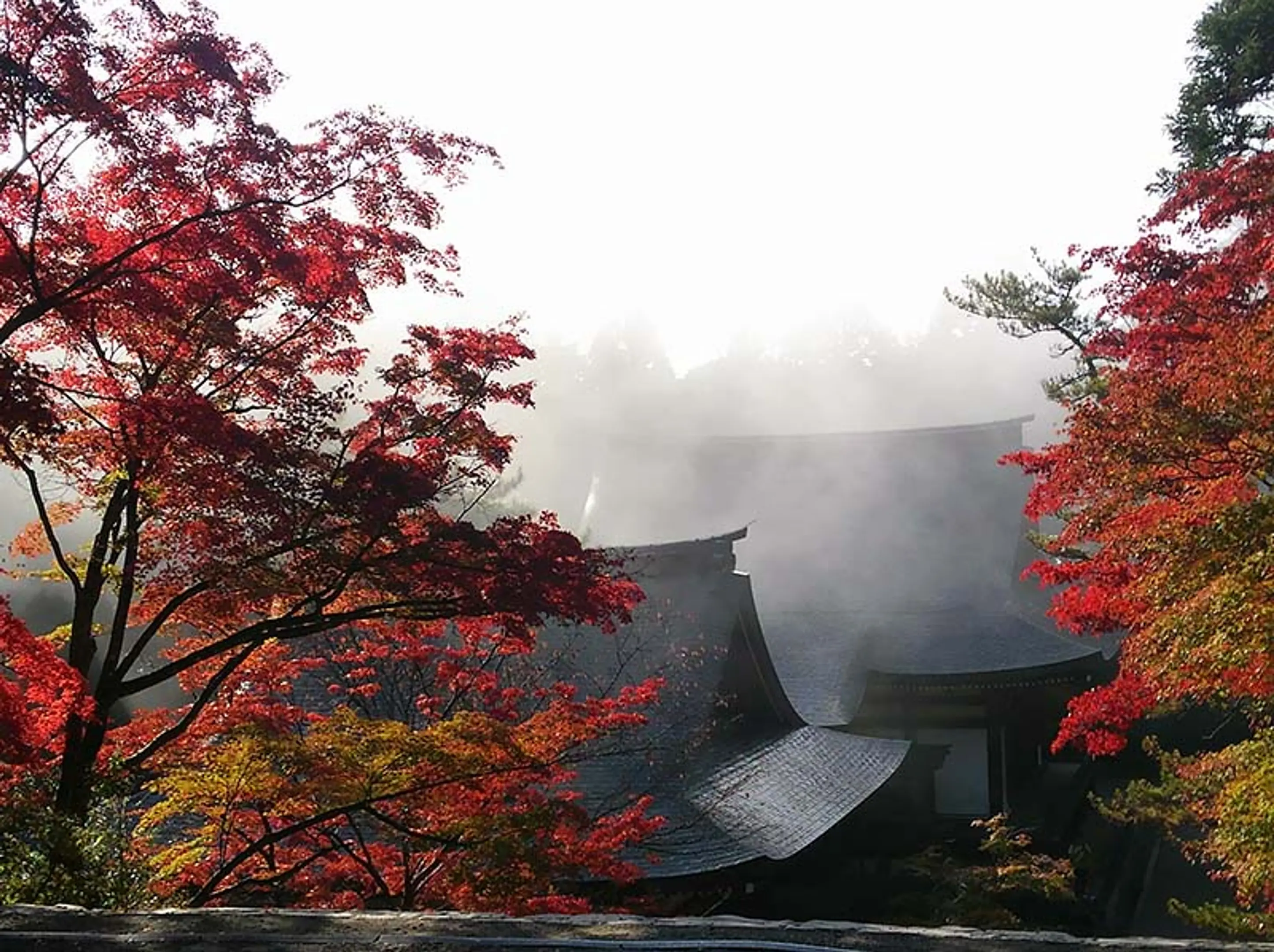 【神護寺】紅葉