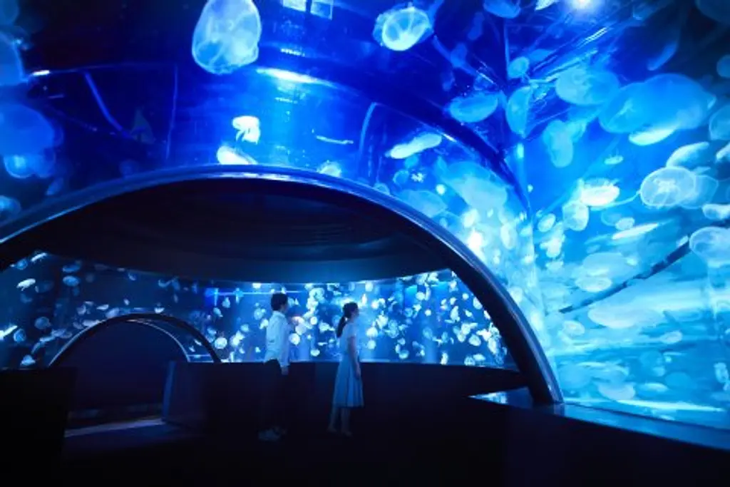 京都水族館 | スポット一覧 | 京都府観光連盟公式サイト