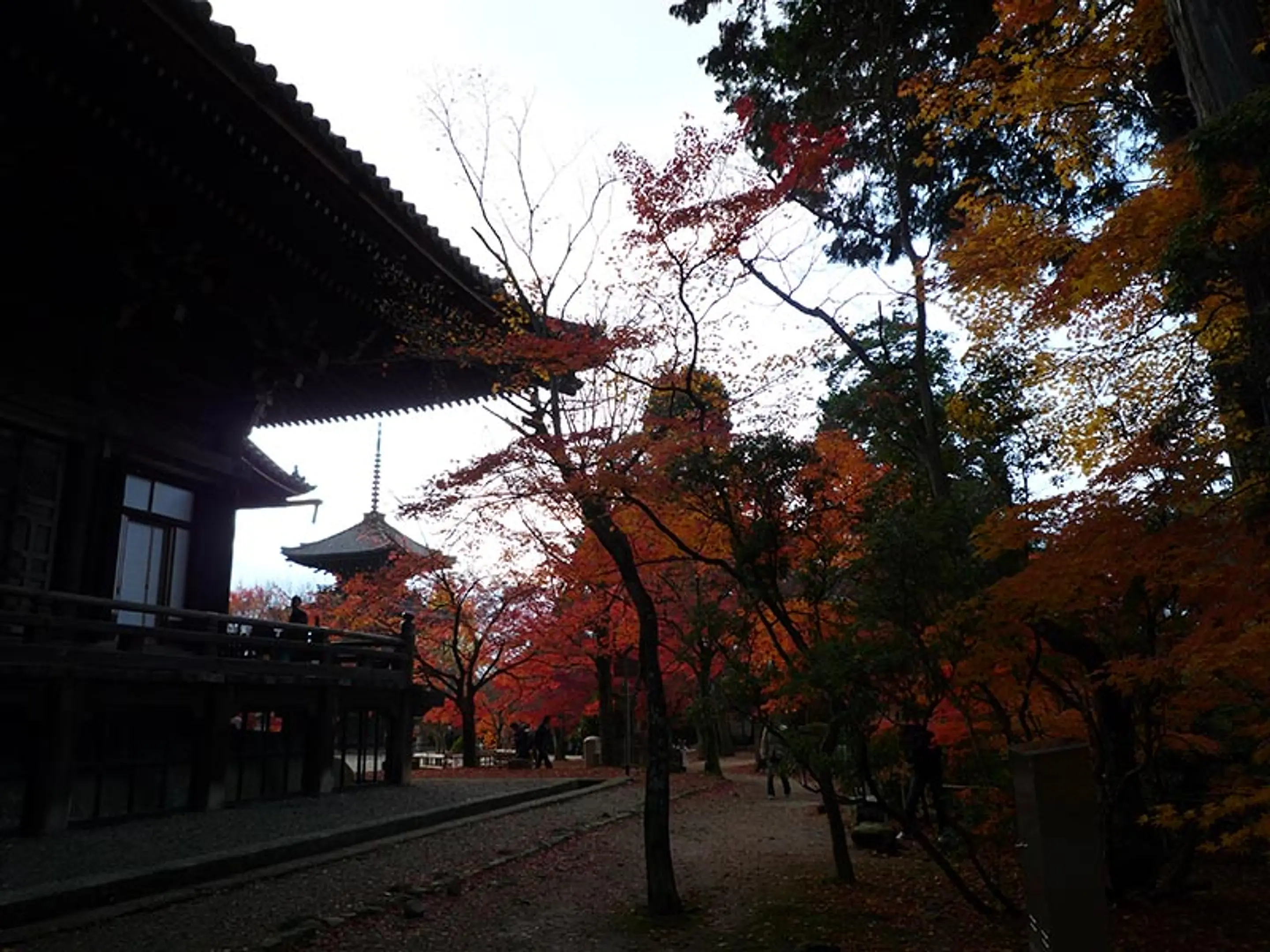 【真如堂（真正極楽寺）】紅葉