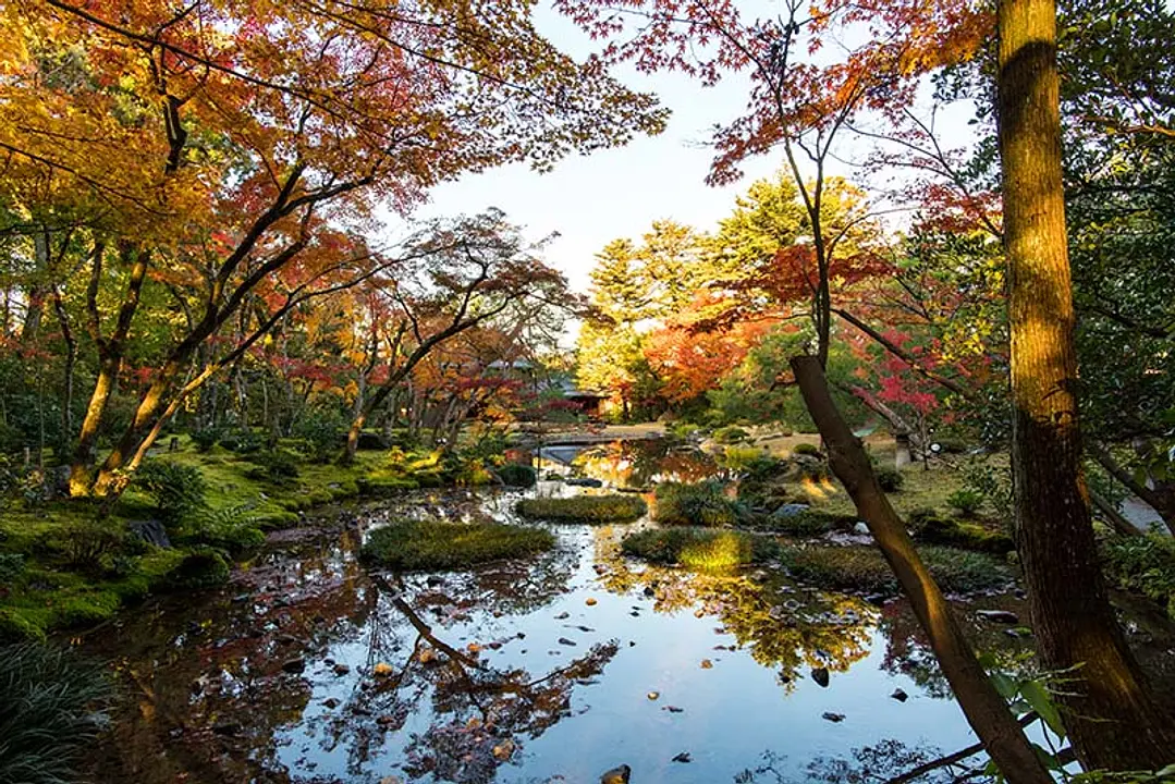 【無鄰菴】紅葉