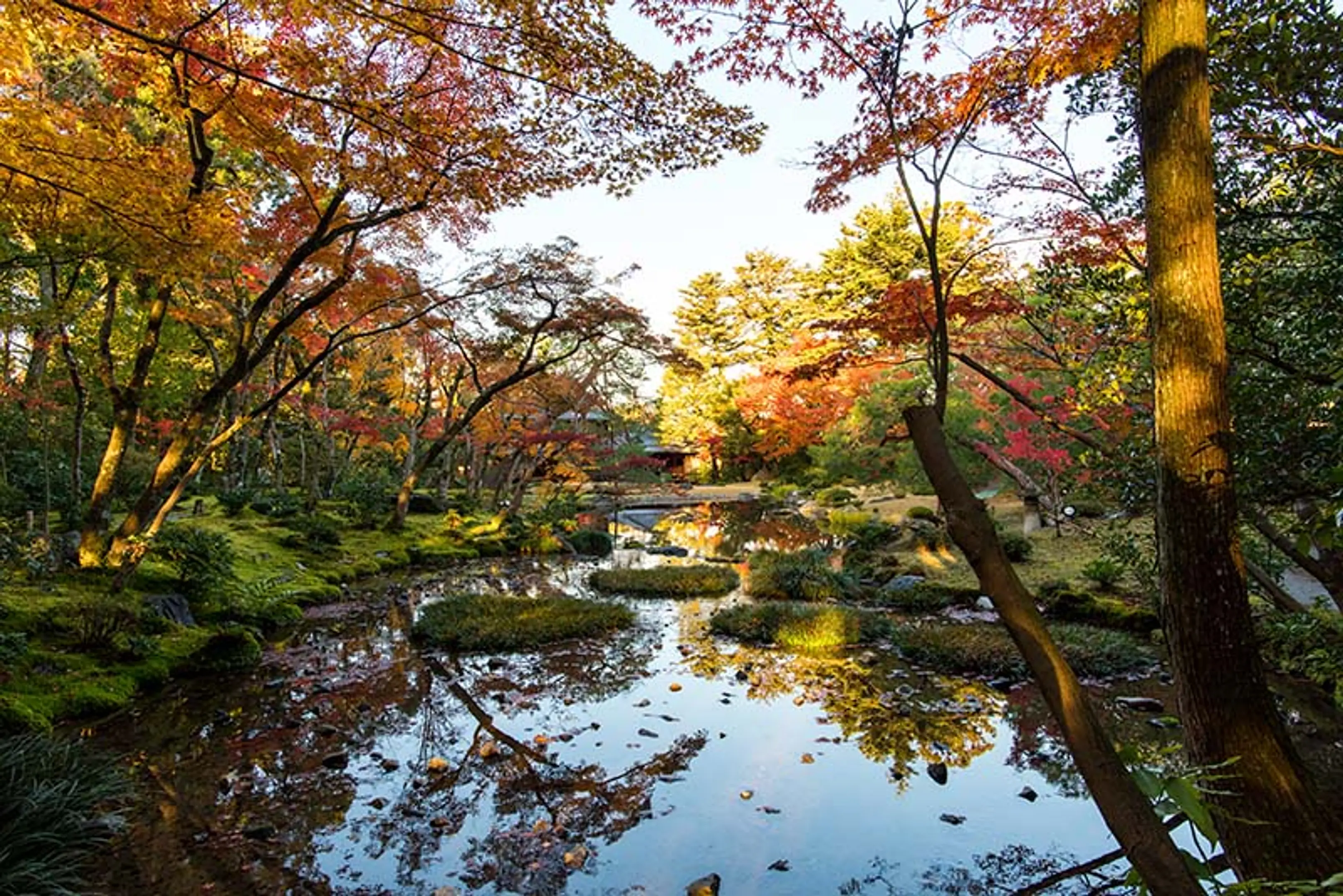 【無鄰菴】紅葉