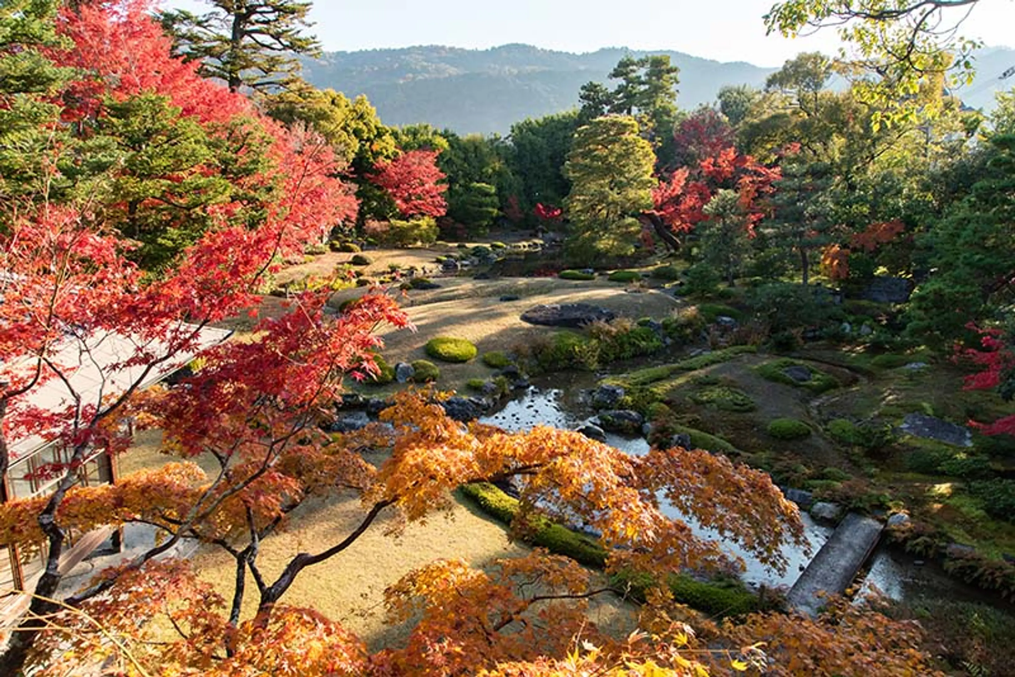 【無鄰菴】紅葉