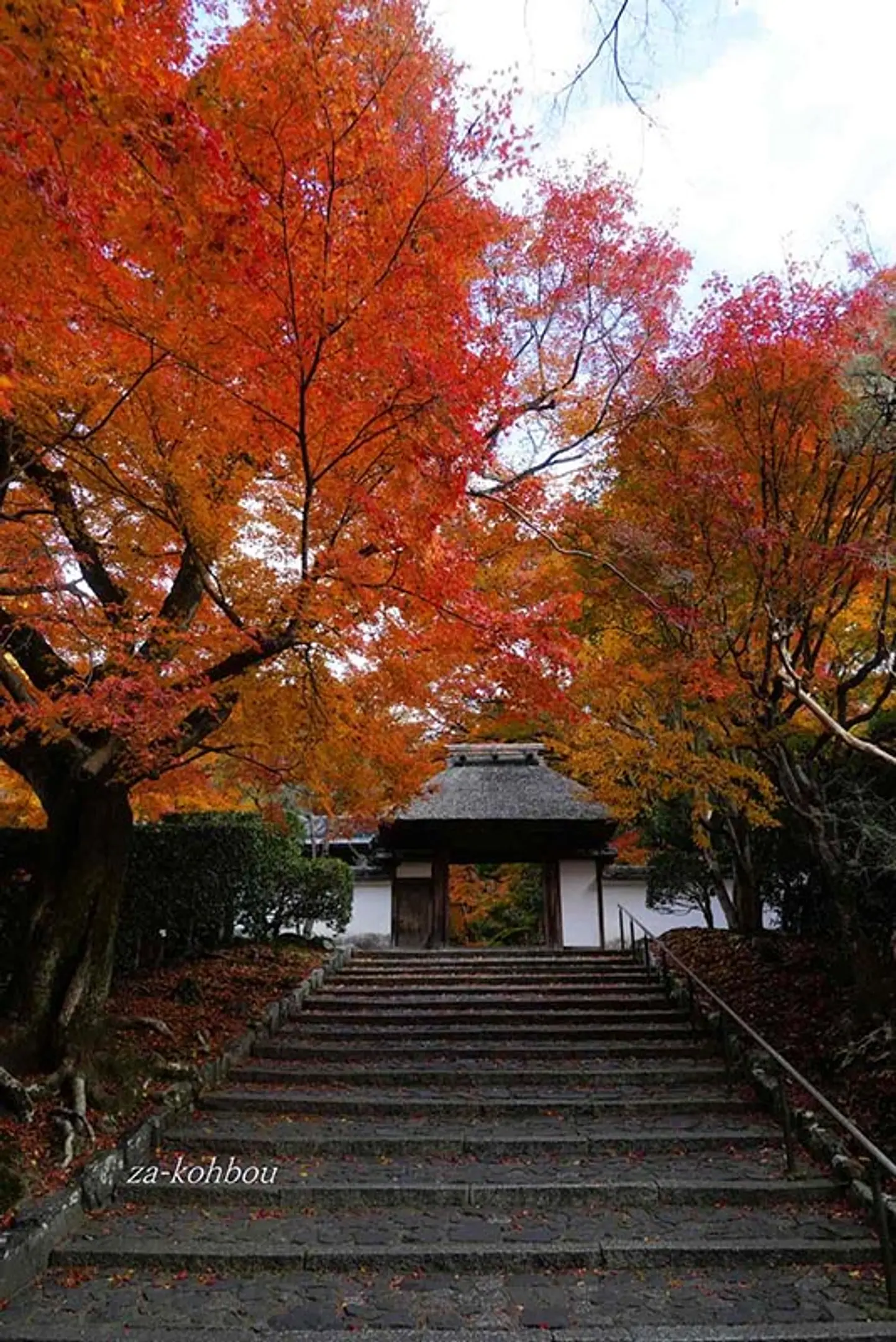 【安楽寺】紅葉