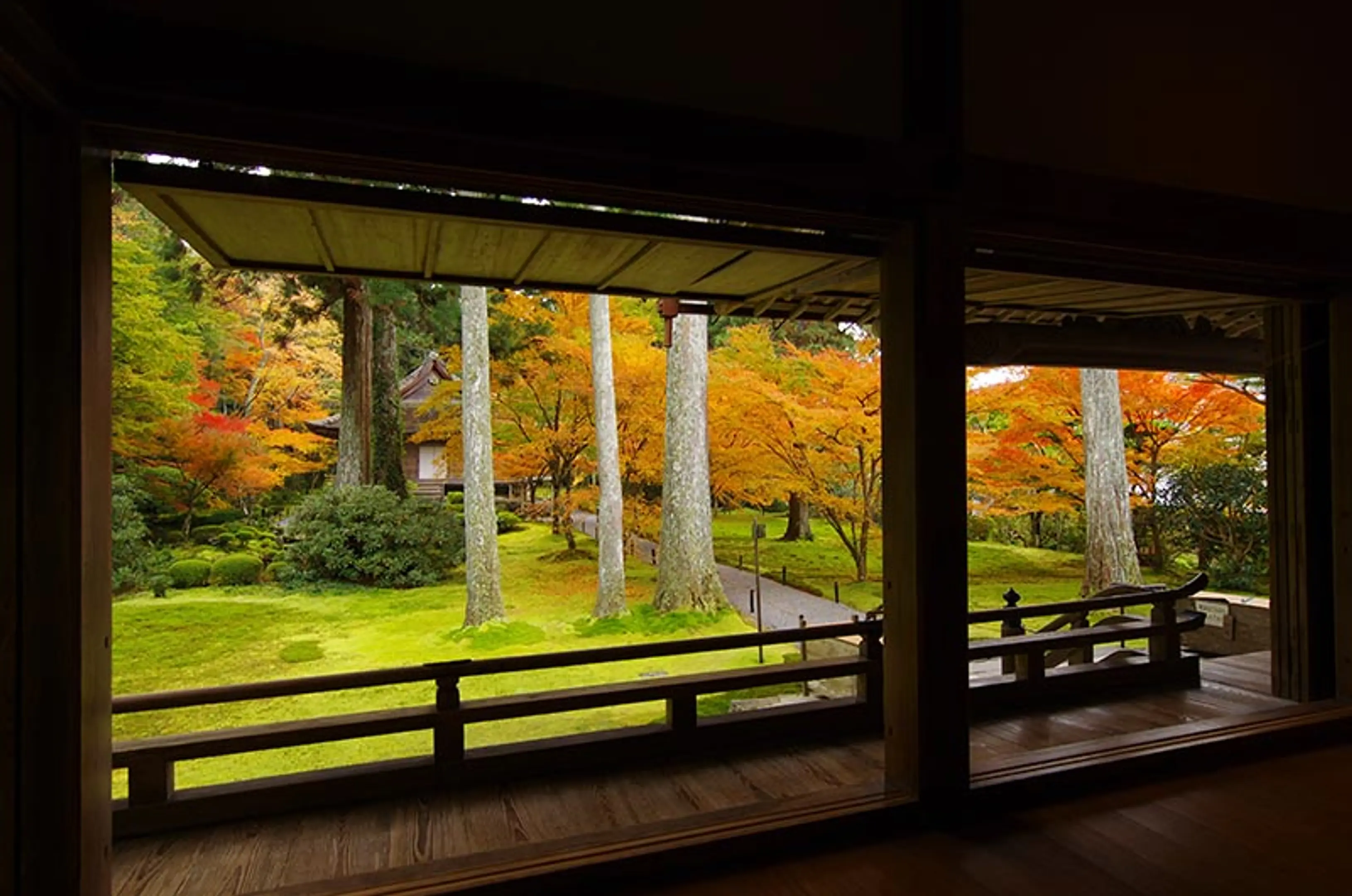 【三千院】紅葉