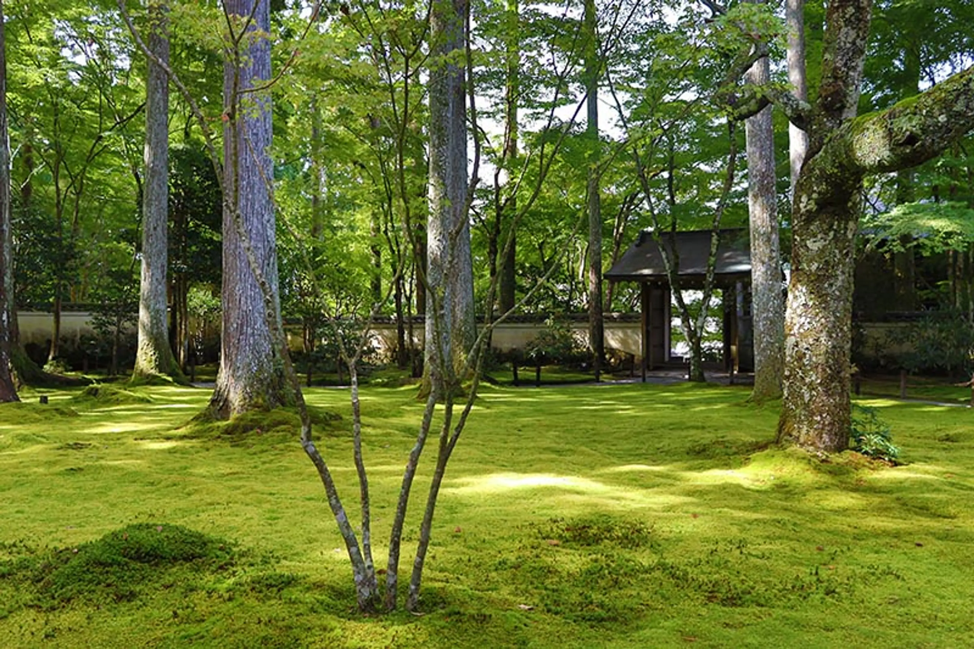 三千院