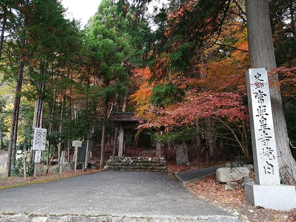 【常照皇寺】紅葉