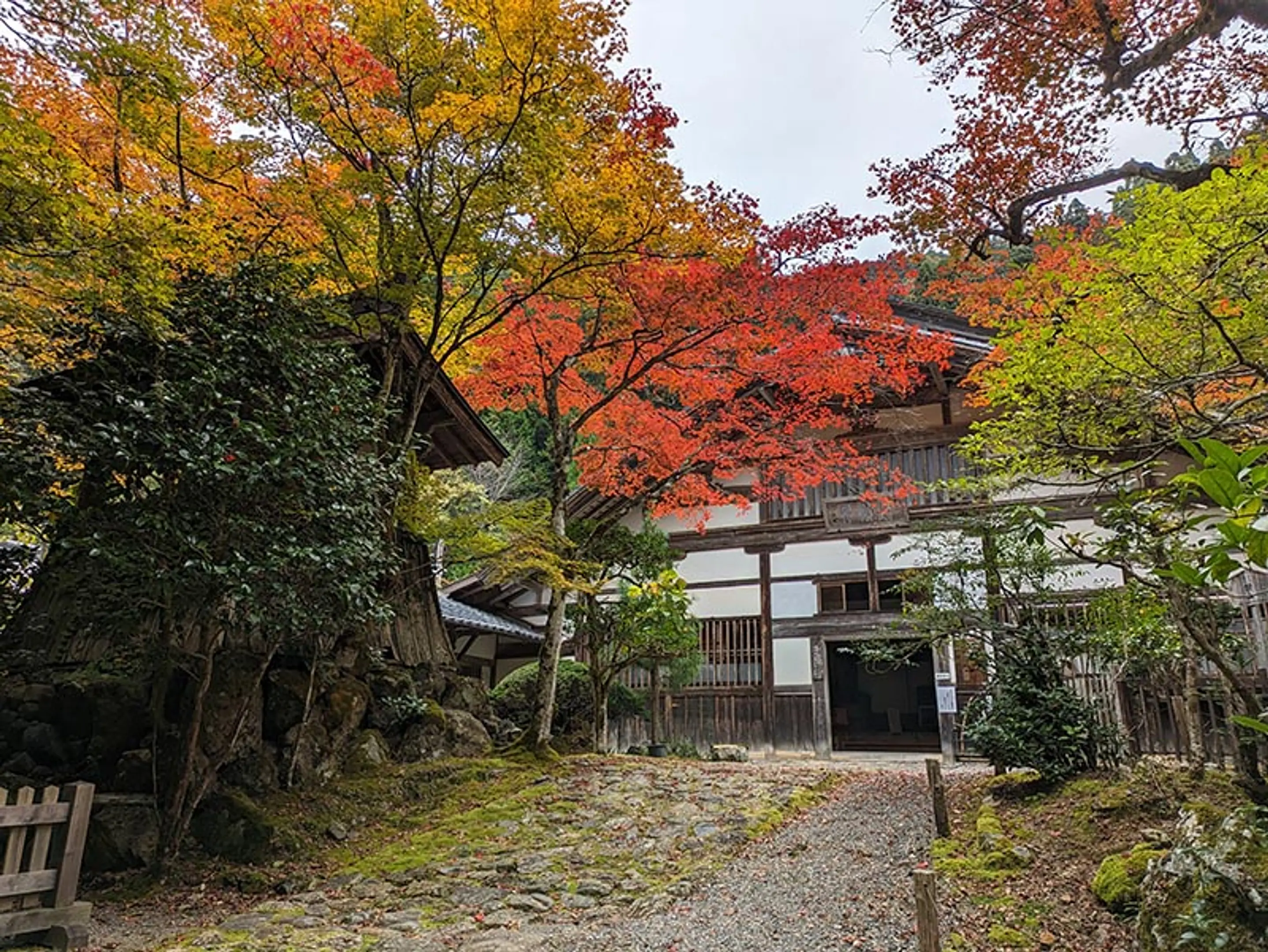 【常照皇寺】紅葉
