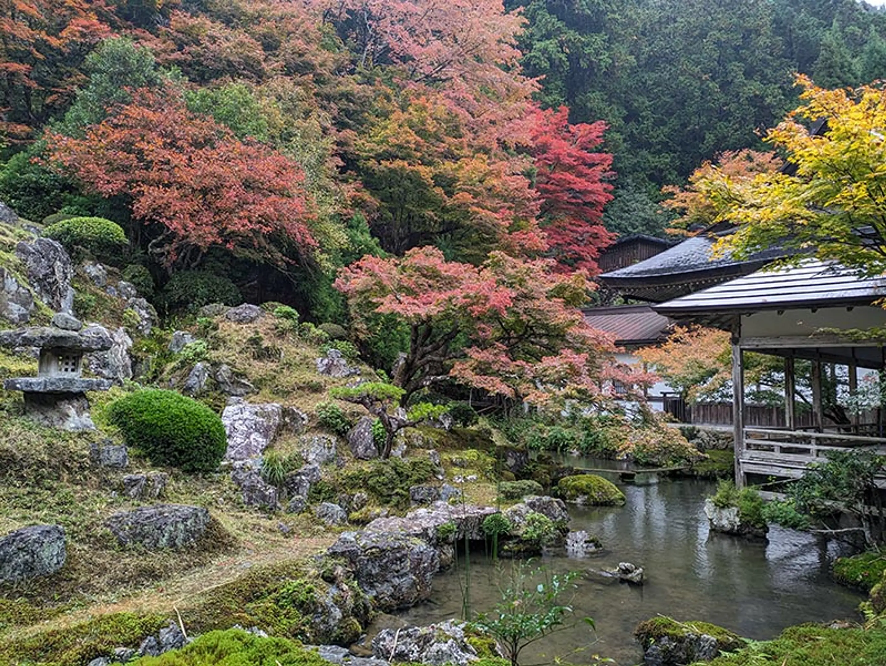 【常照皇寺】紅葉