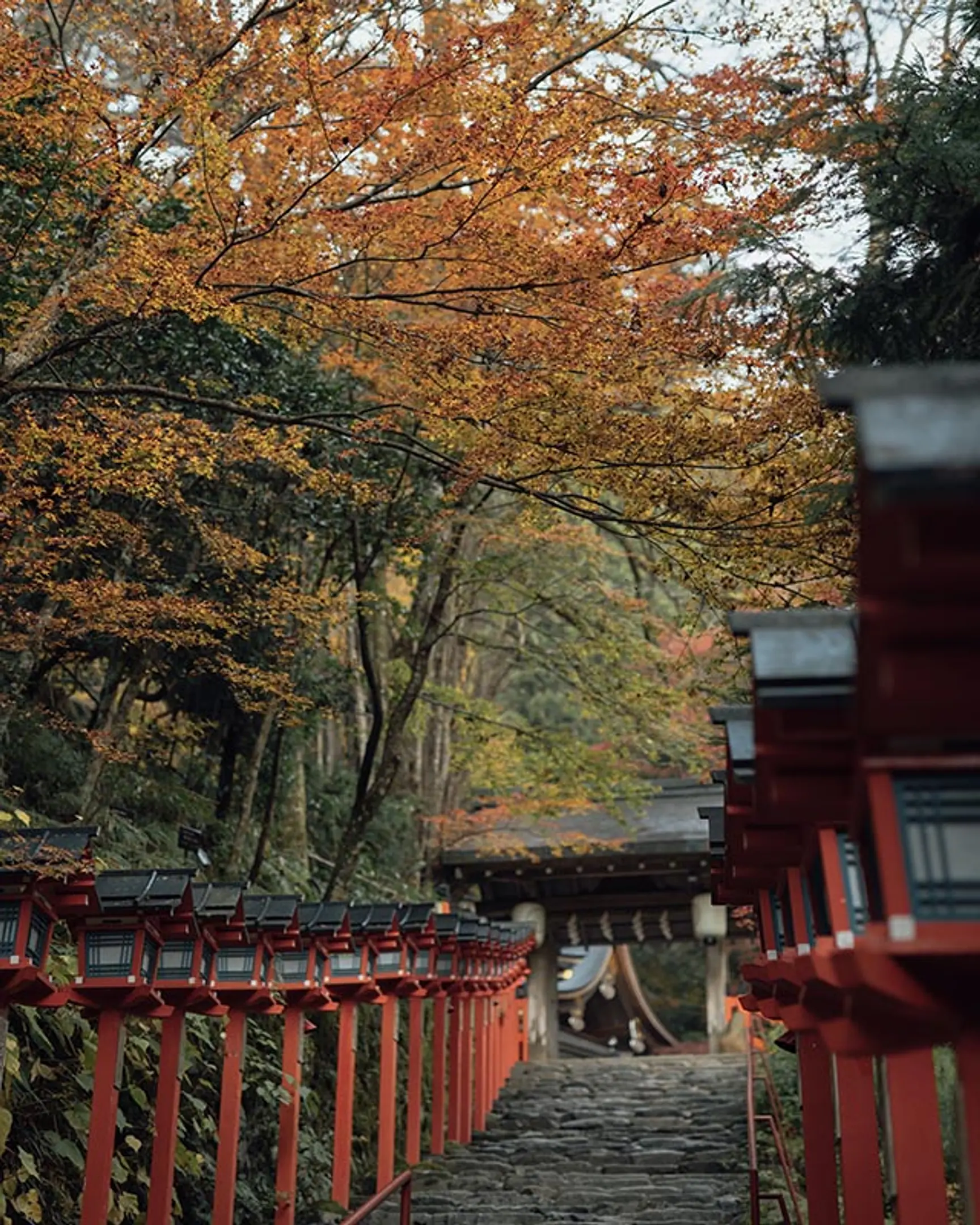 【貴船神社】紅葉