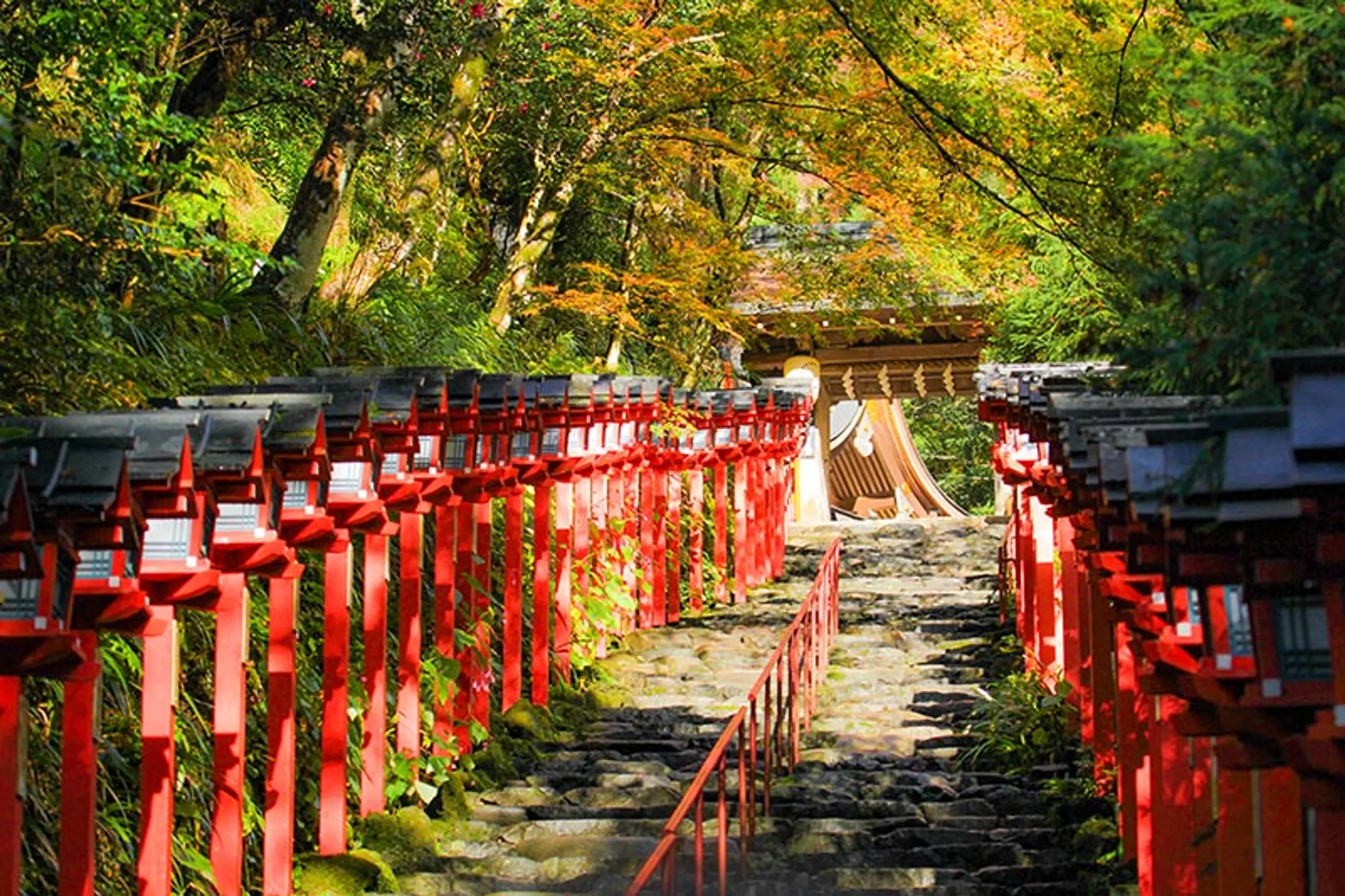【貴船神社】紅葉