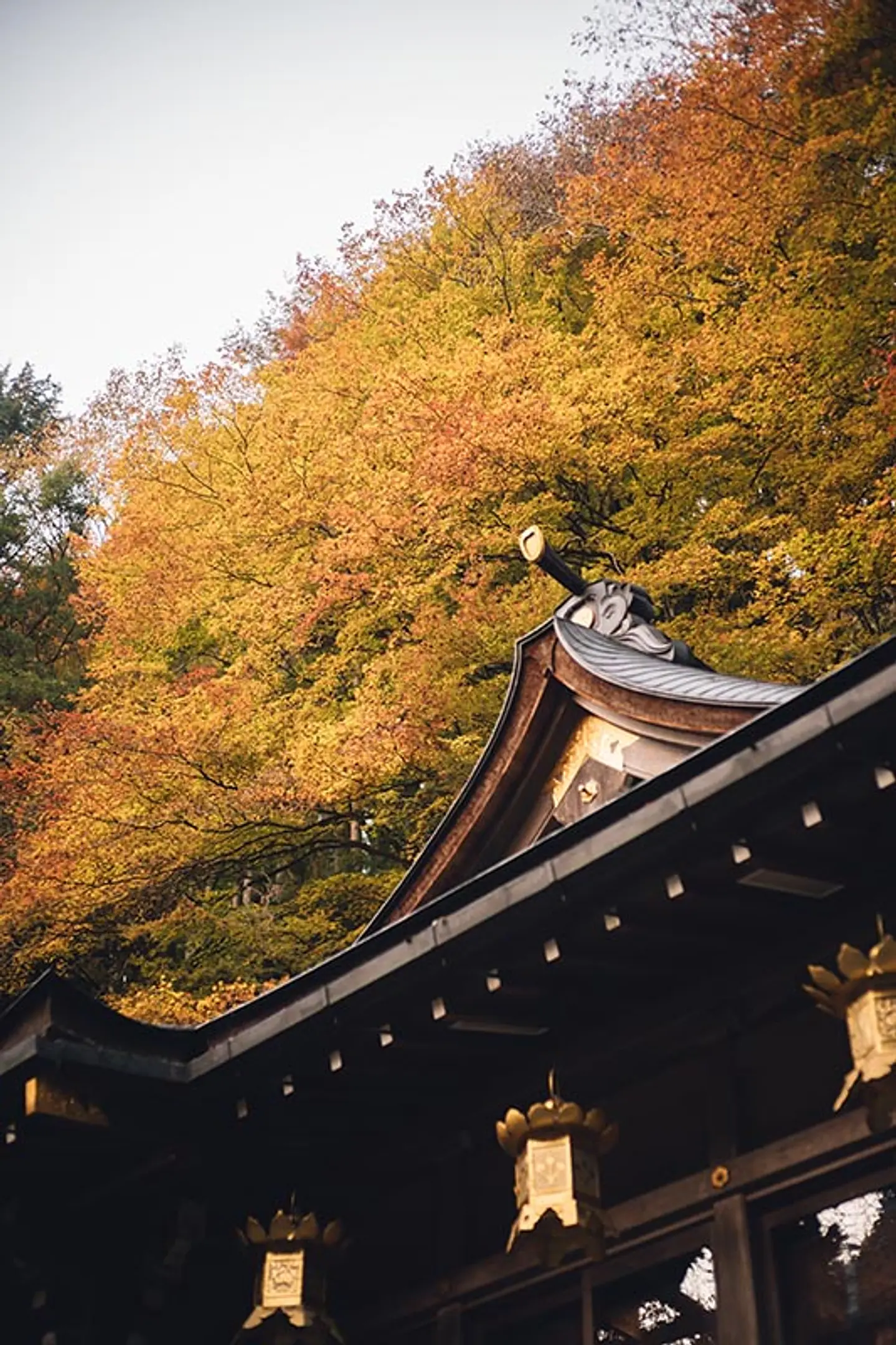 【貴船神社】紅葉
