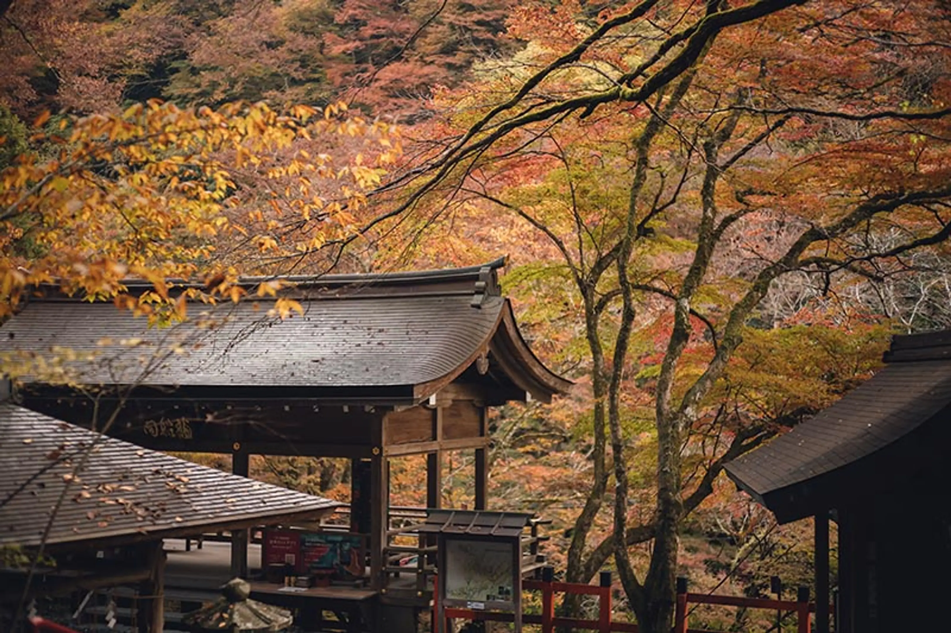 【貴船神社】紅葉