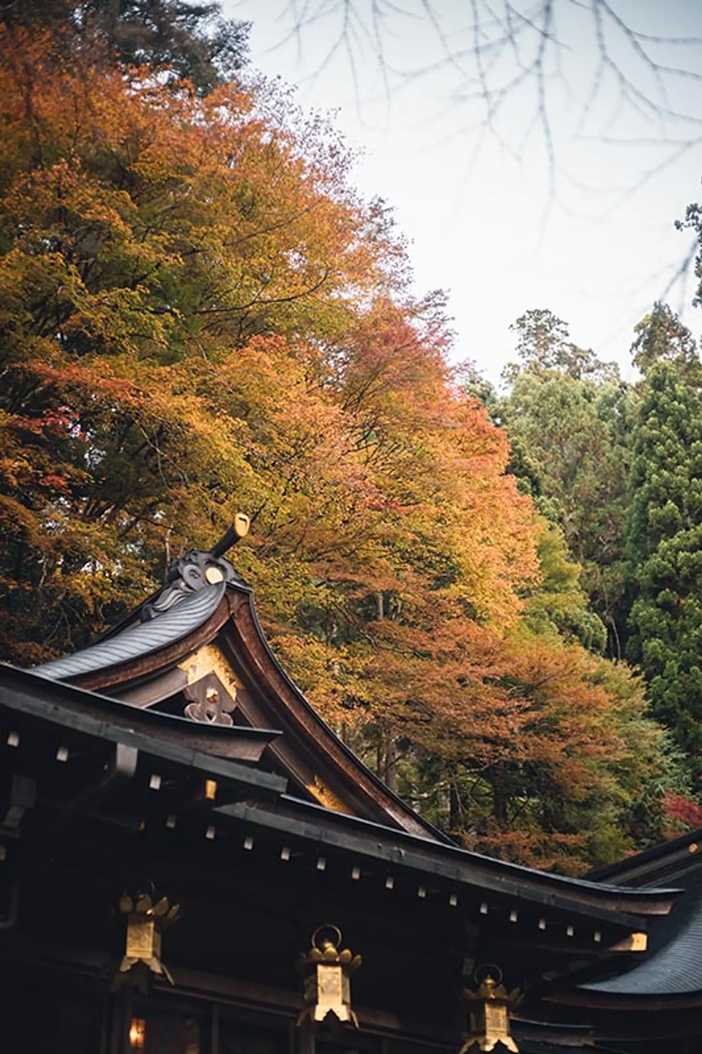 【貴船神社】紅葉