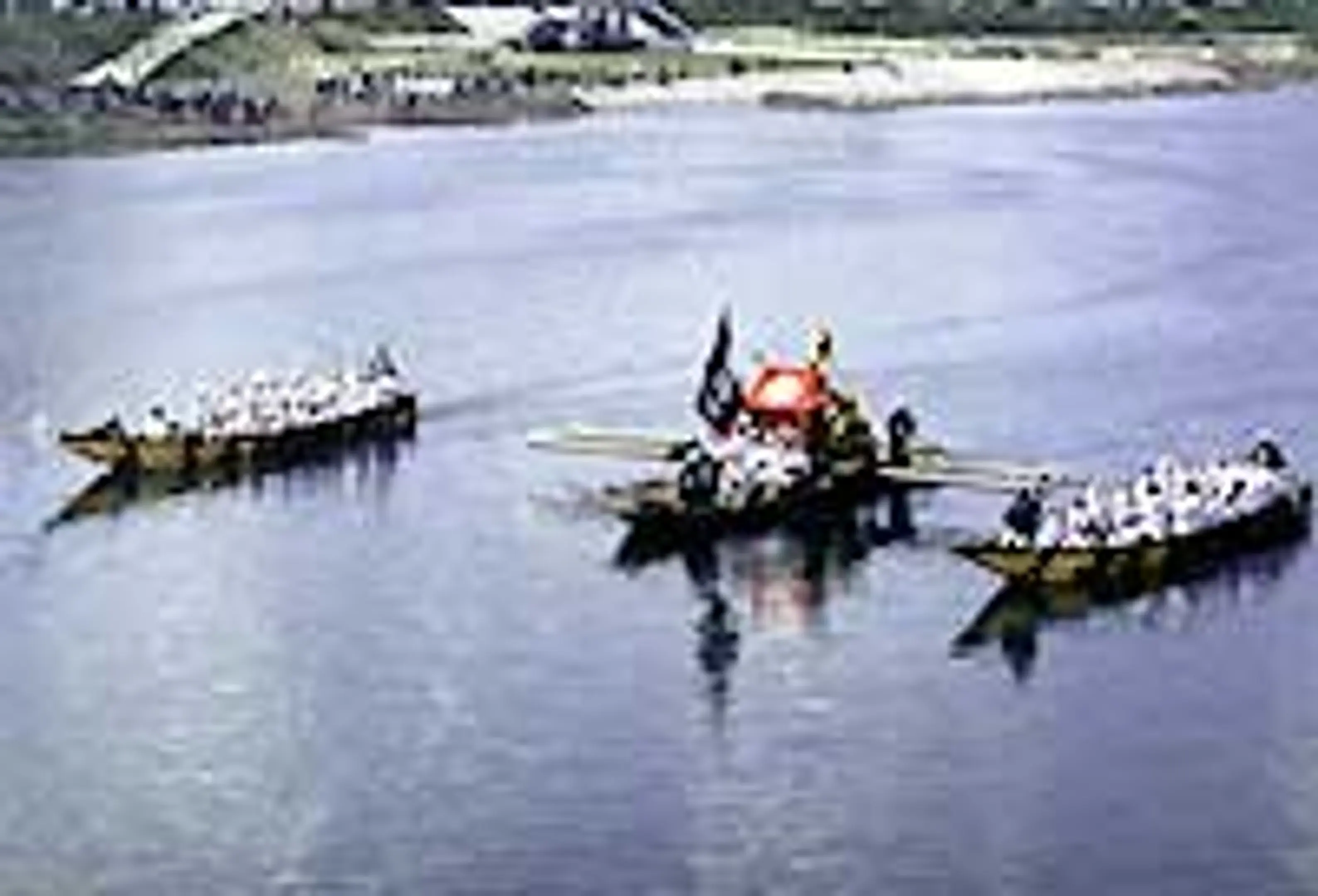 865.jpg