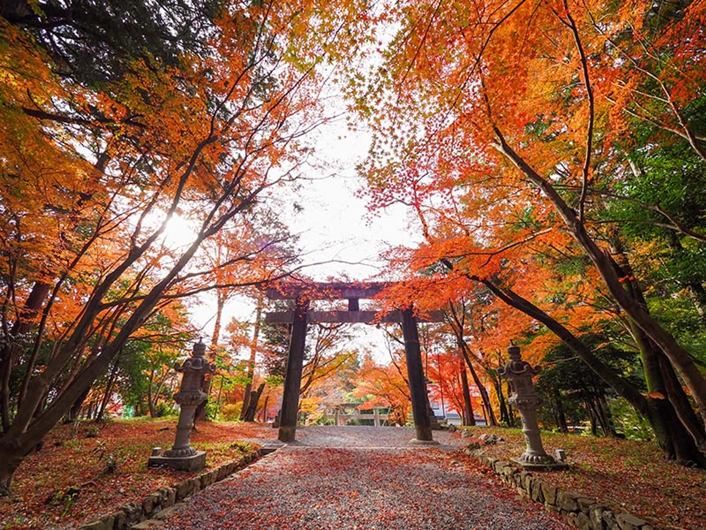 【大原野神社】紅葉