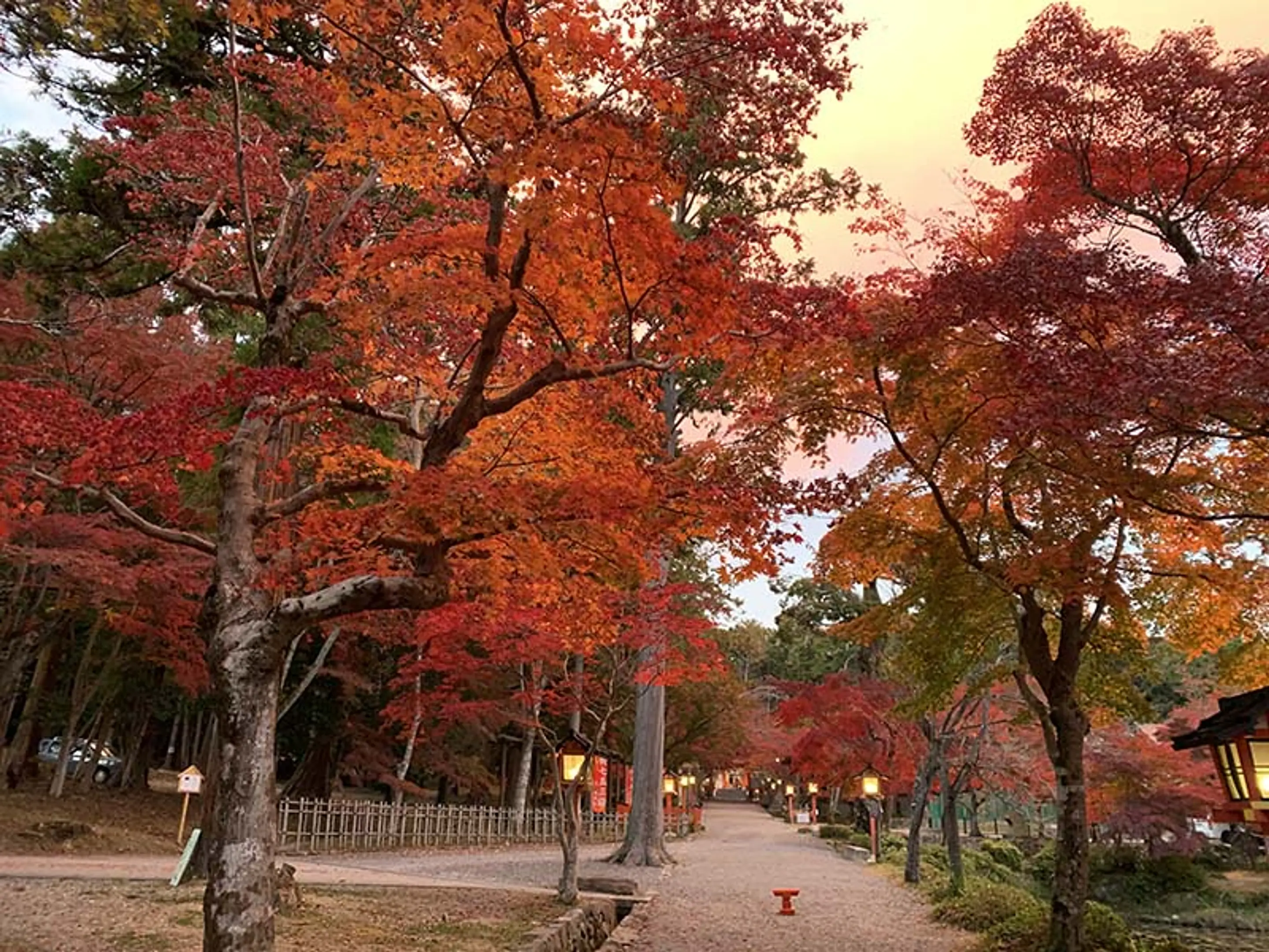 【大原野神社】紅葉