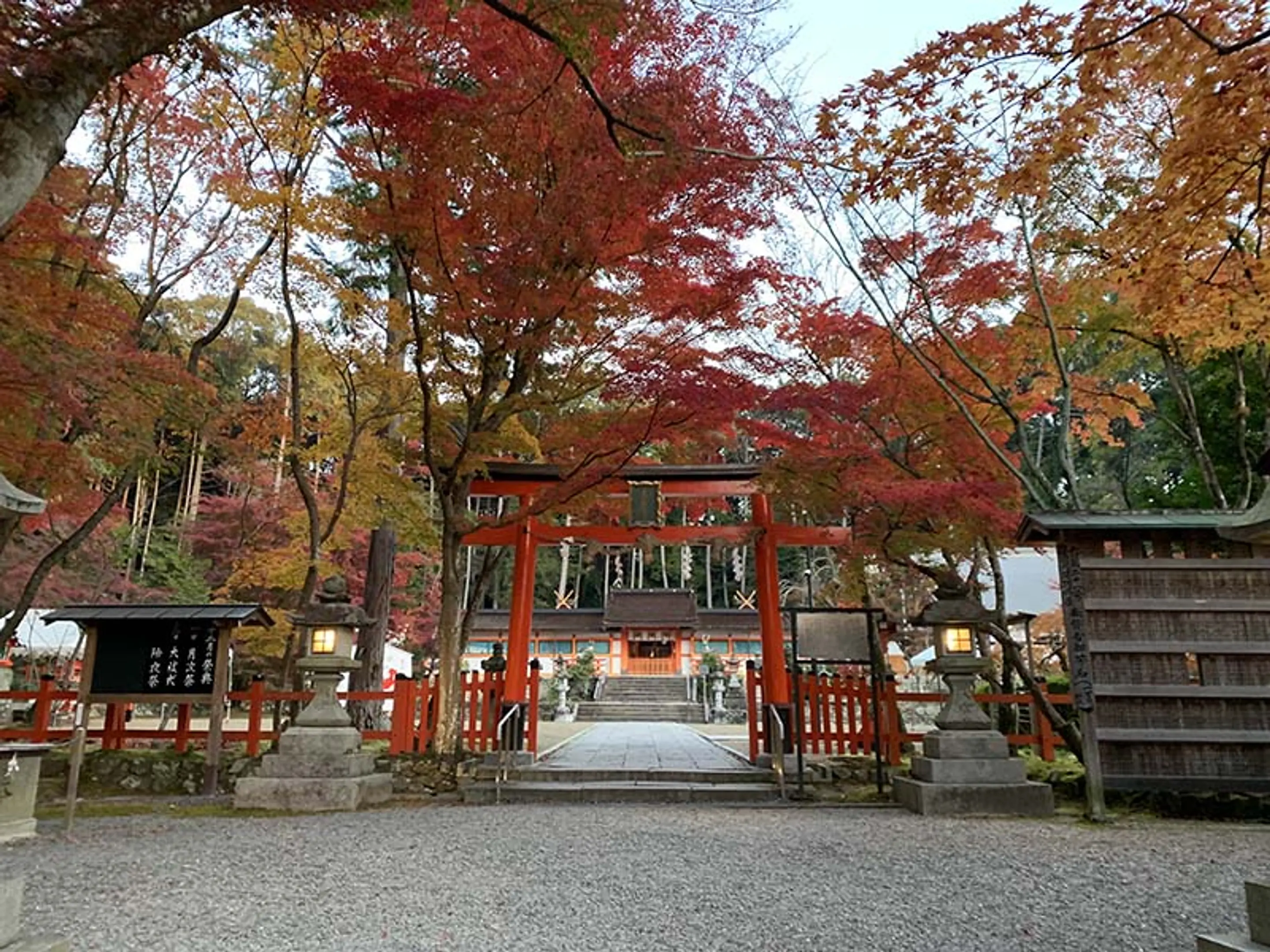【大原野神社】紅葉