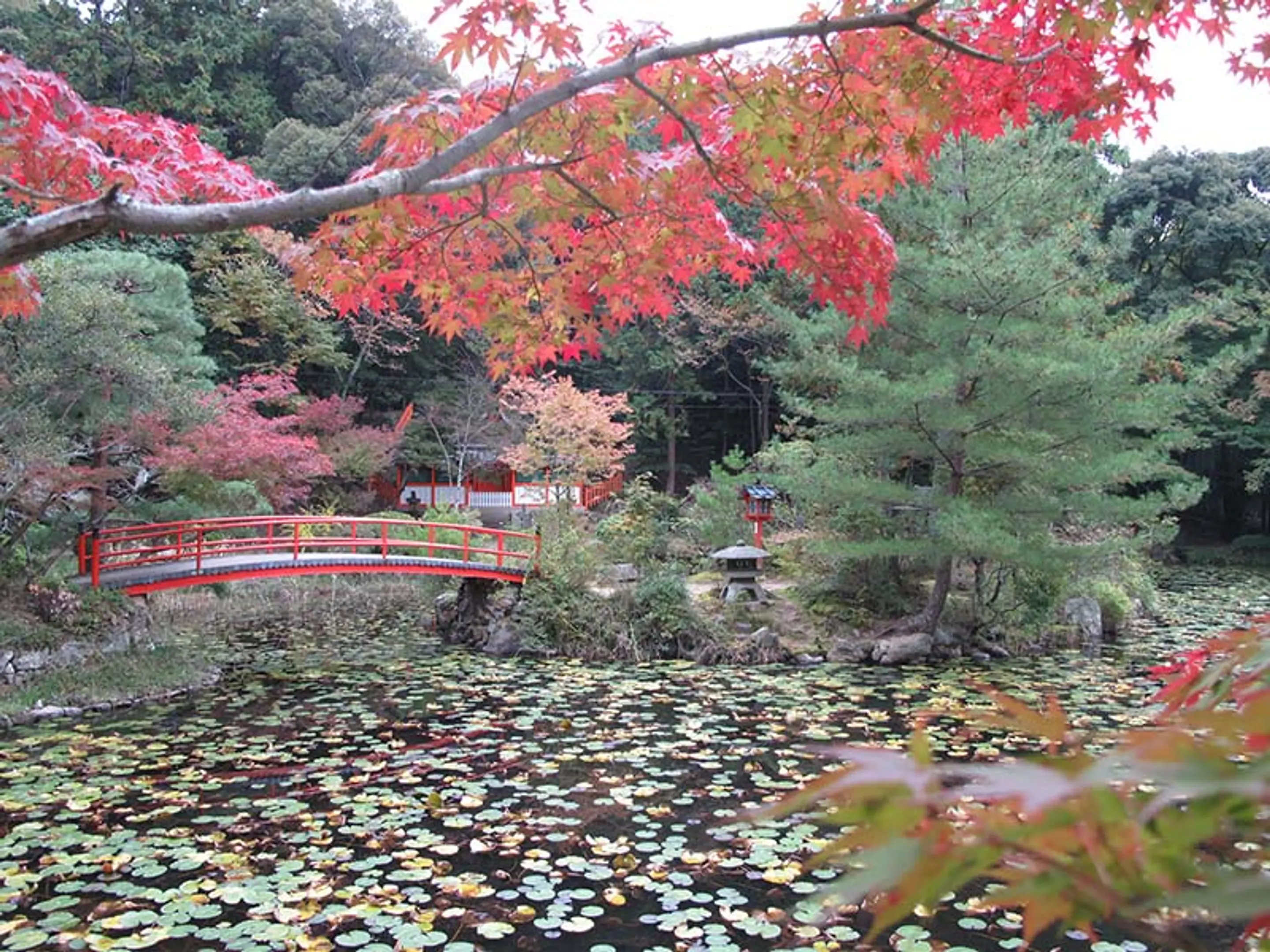 【大原野神社】紅葉