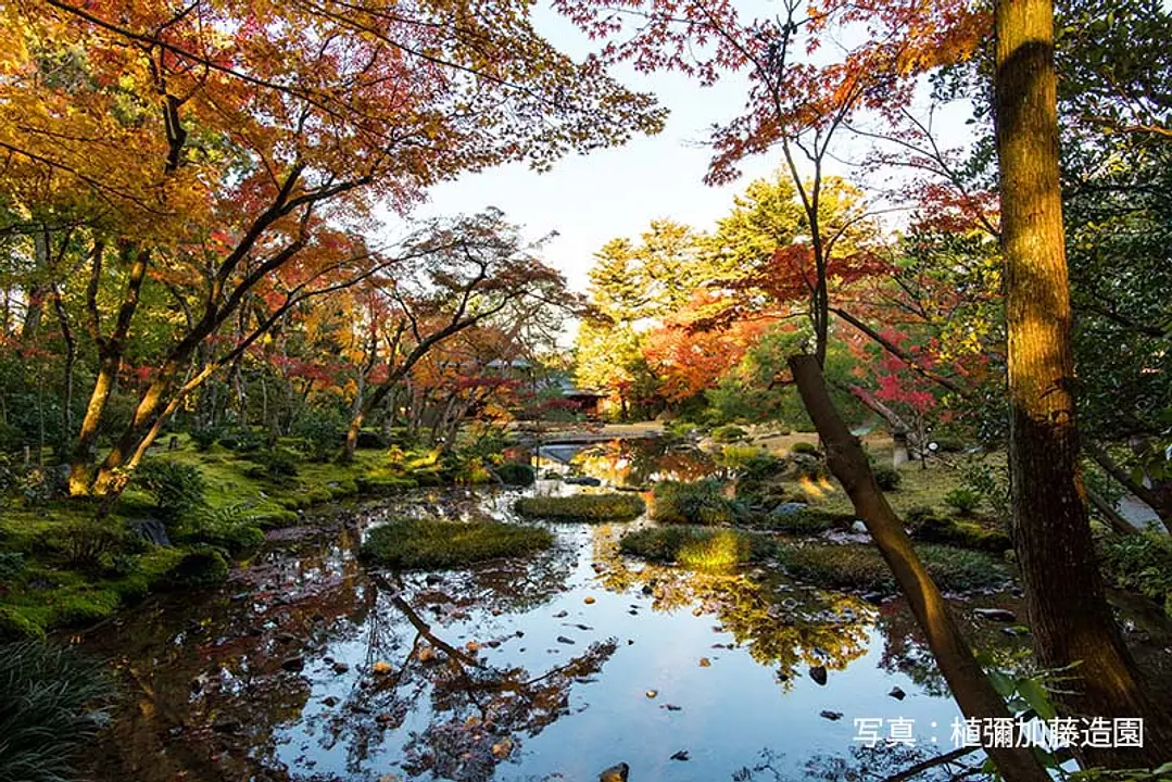 【無鄰菴】紅葉