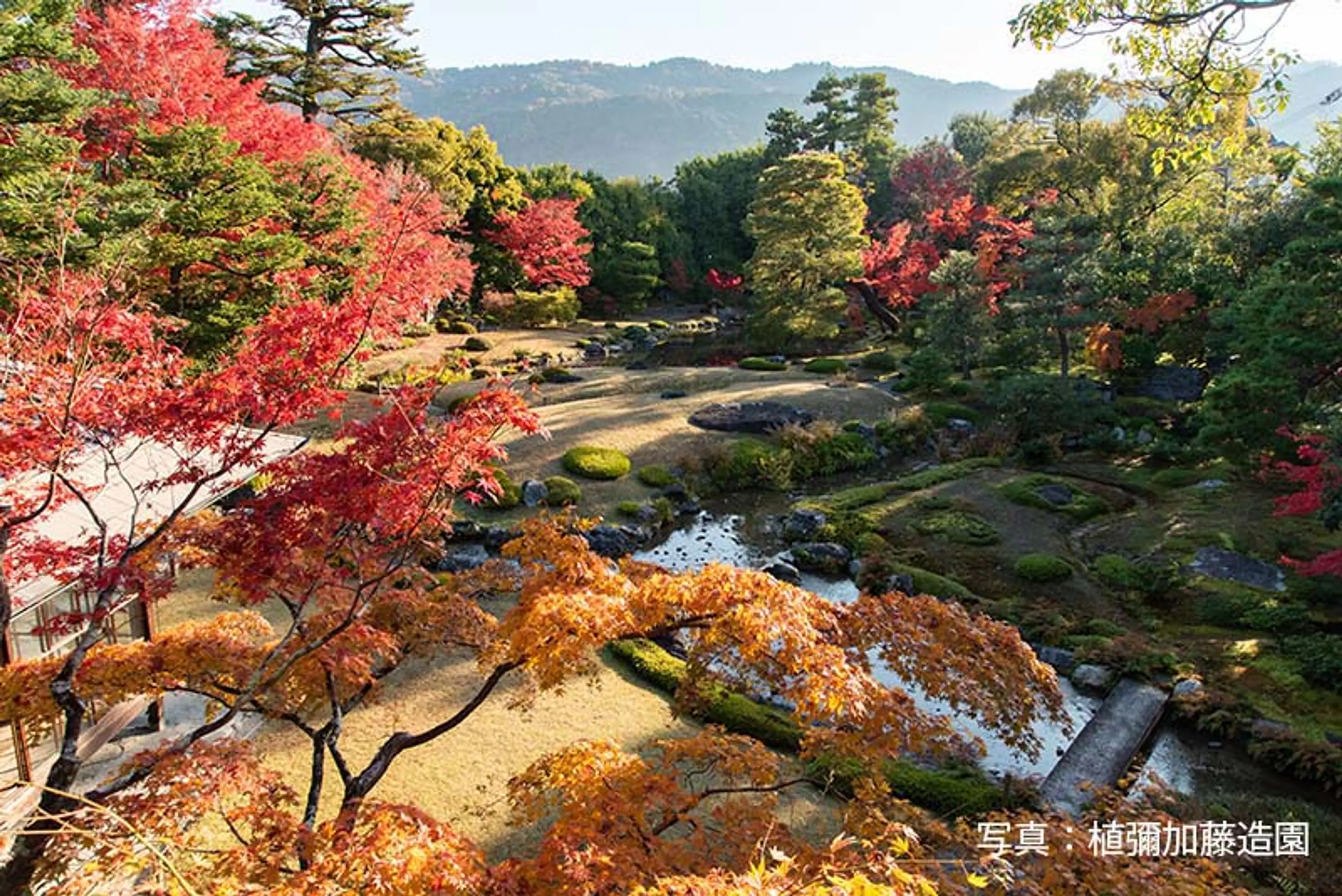【無鄰菴】紅葉