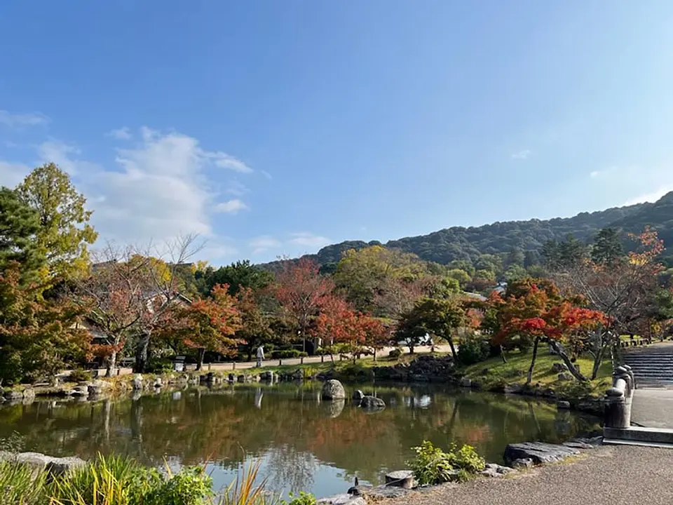 【円山公園】紅葉