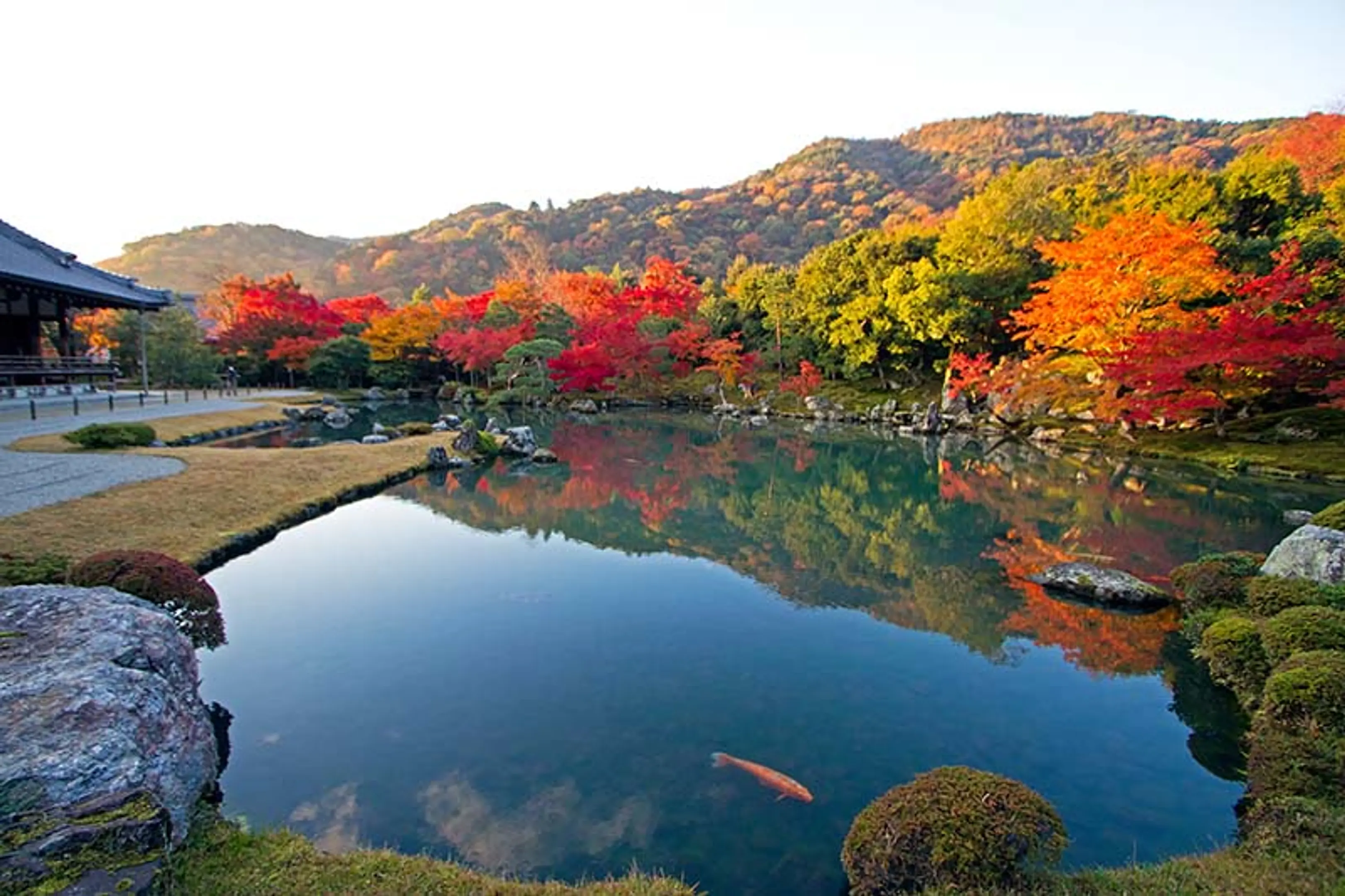 【天龍寺】紅葉