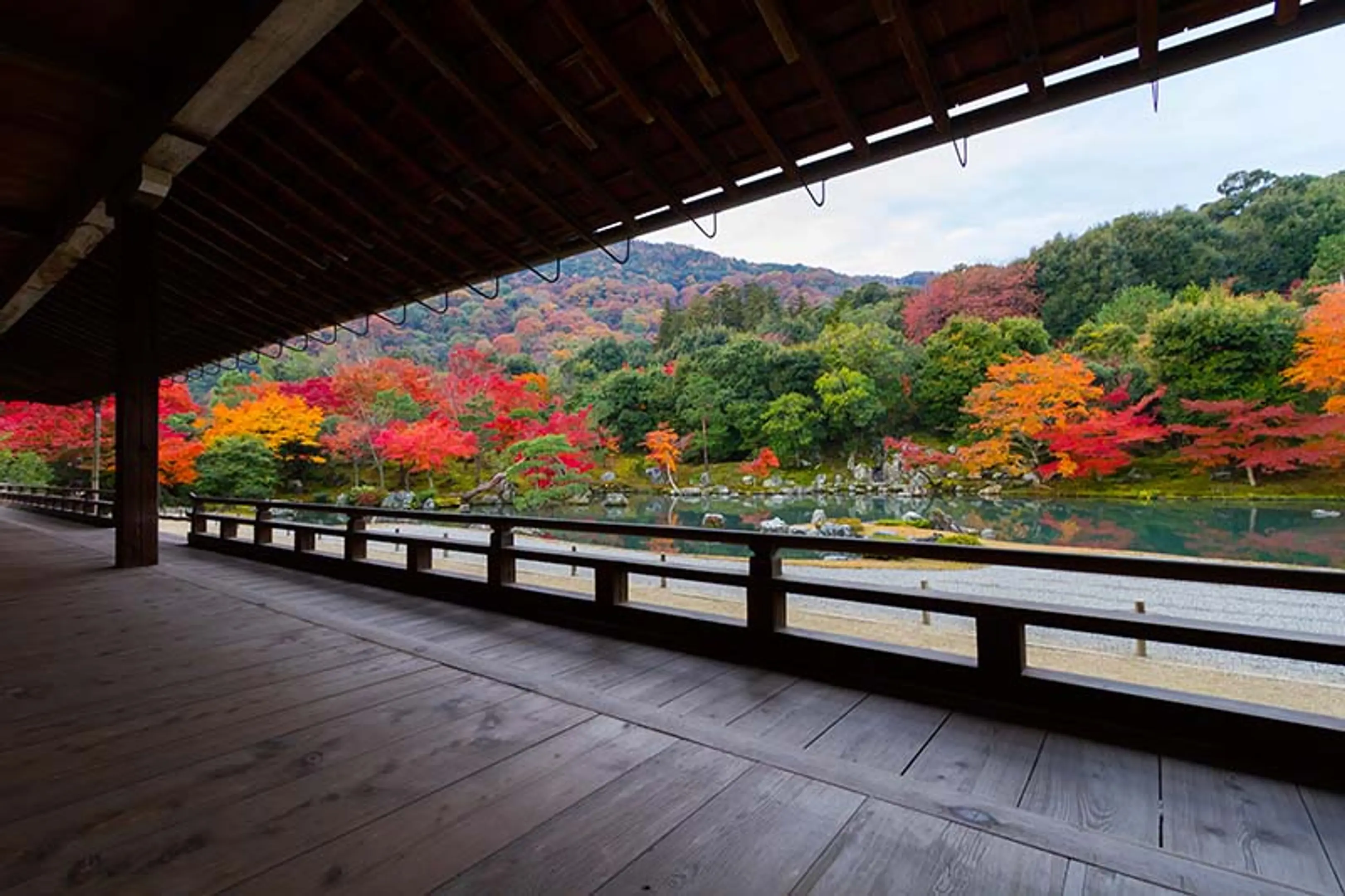 【天龍寺】紅葉