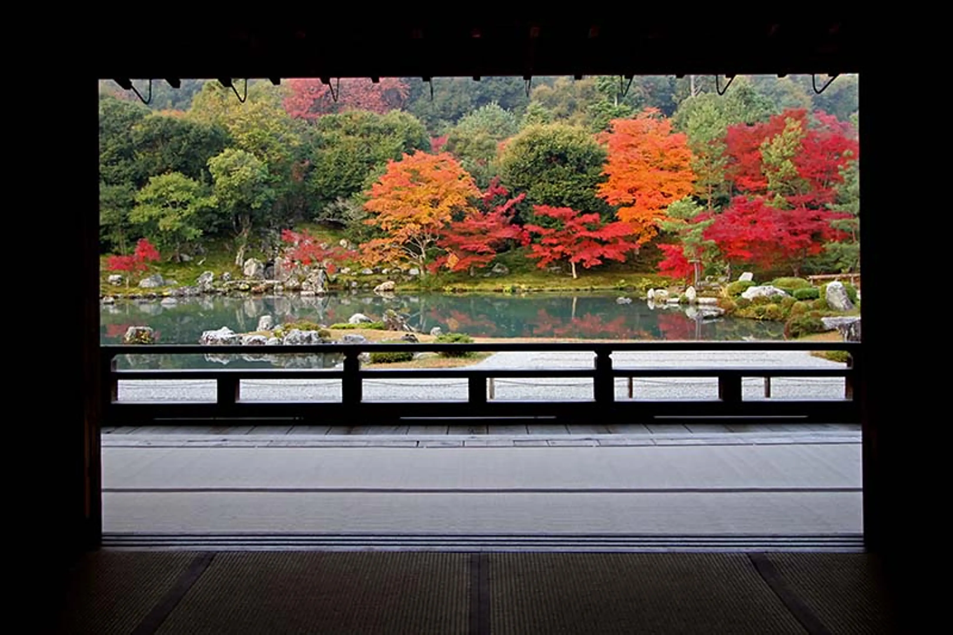 【天龍寺】紅葉
