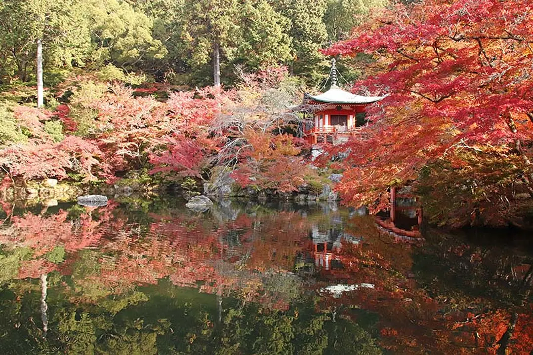 【醍醐寺】紅葉