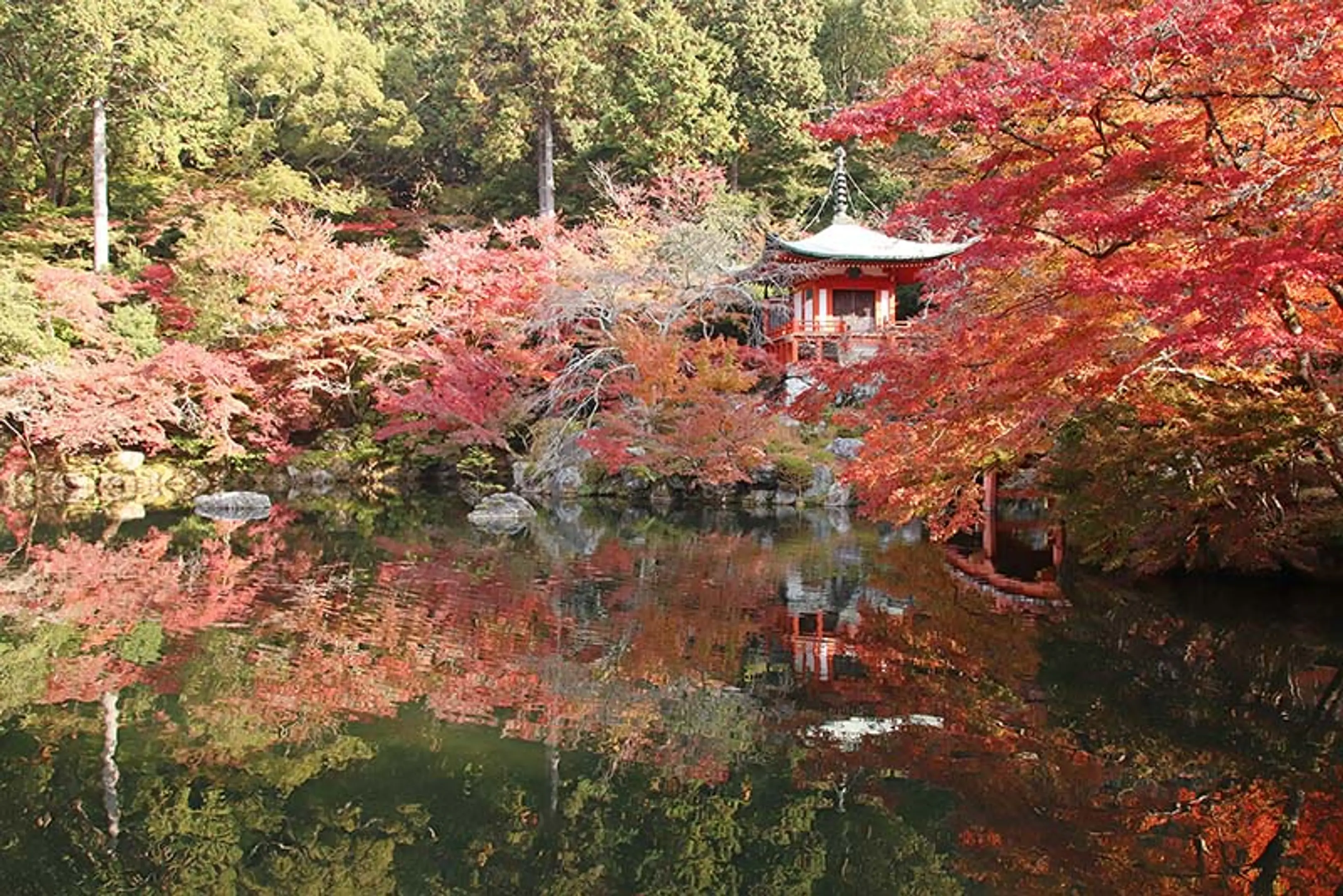 【醍醐寺】紅葉