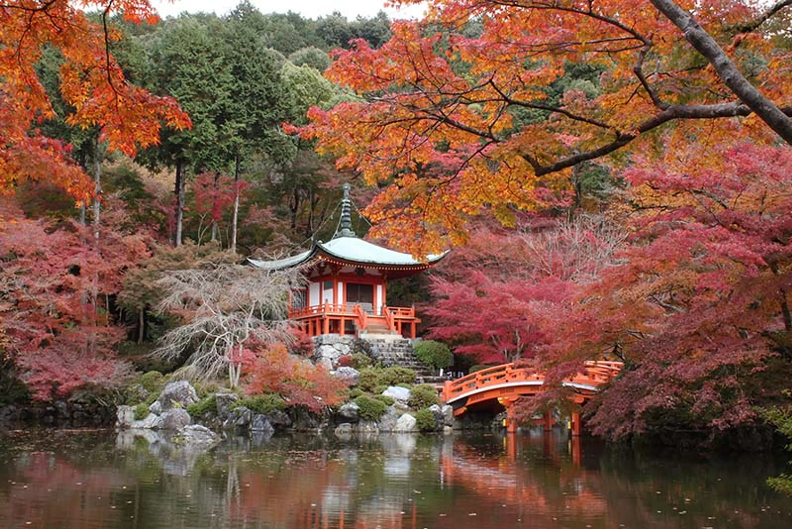 【醍醐寺】紅葉