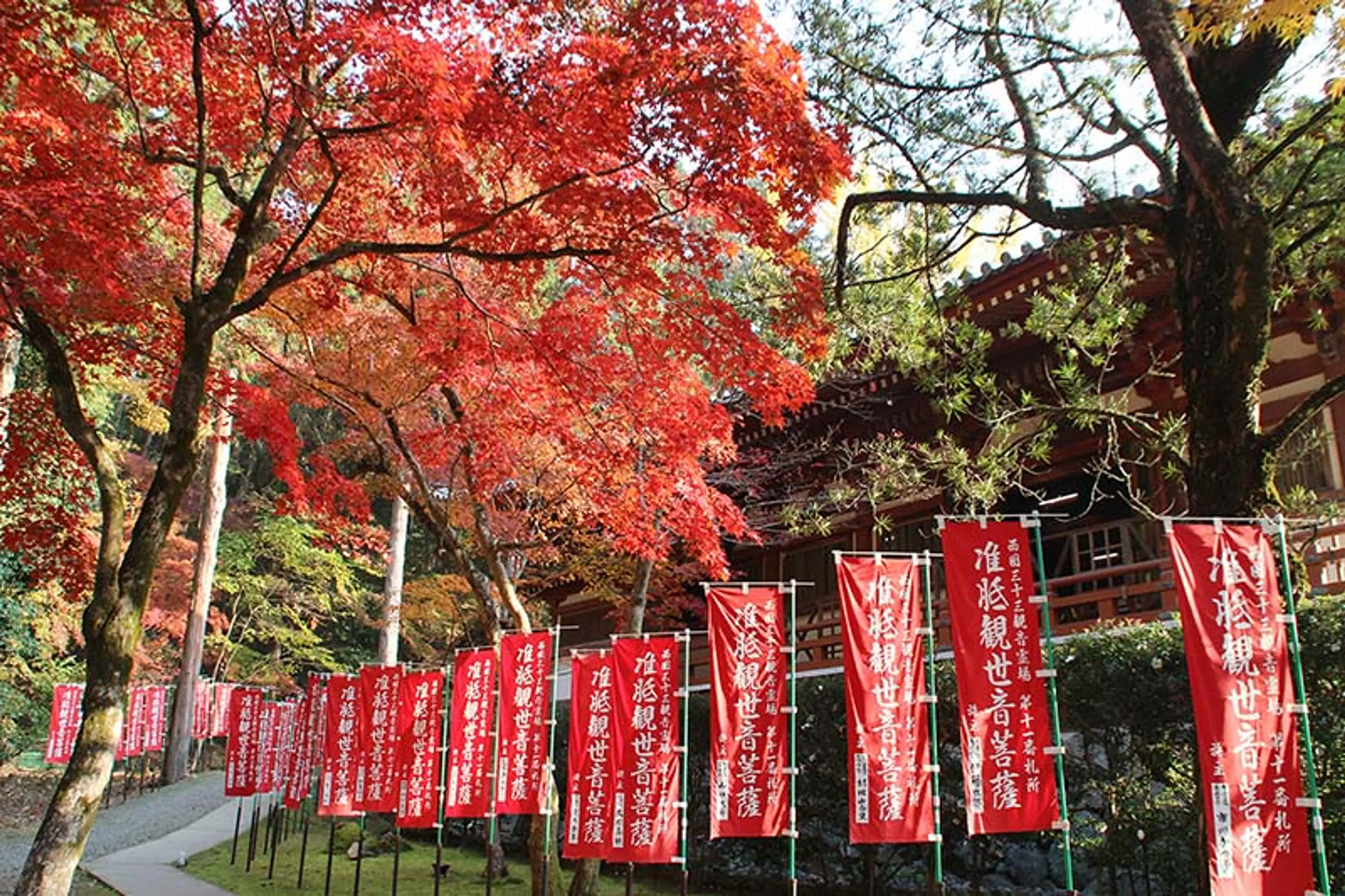 【醍醐寺】紅葉