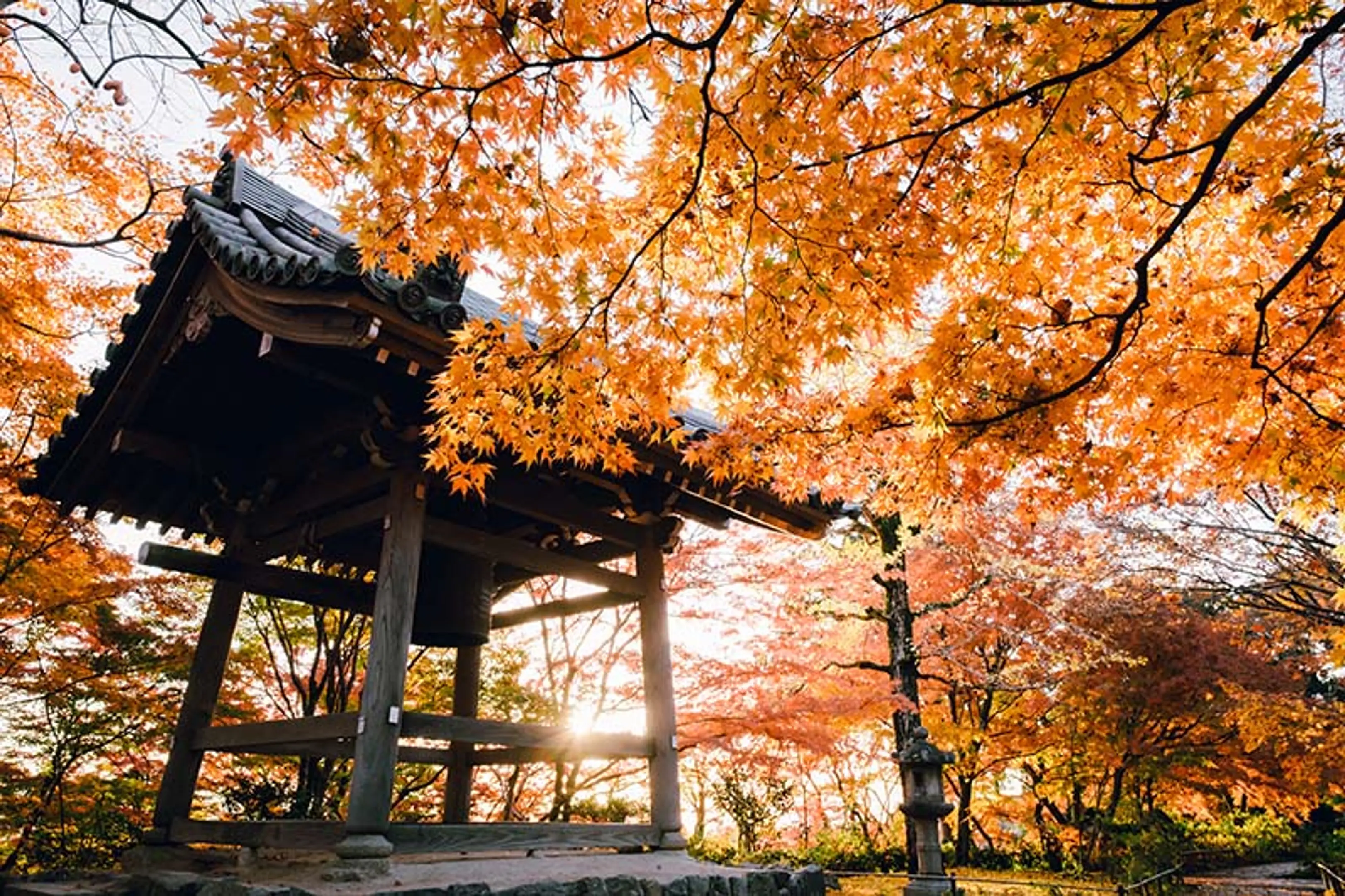 【常寂光寺】紅葉