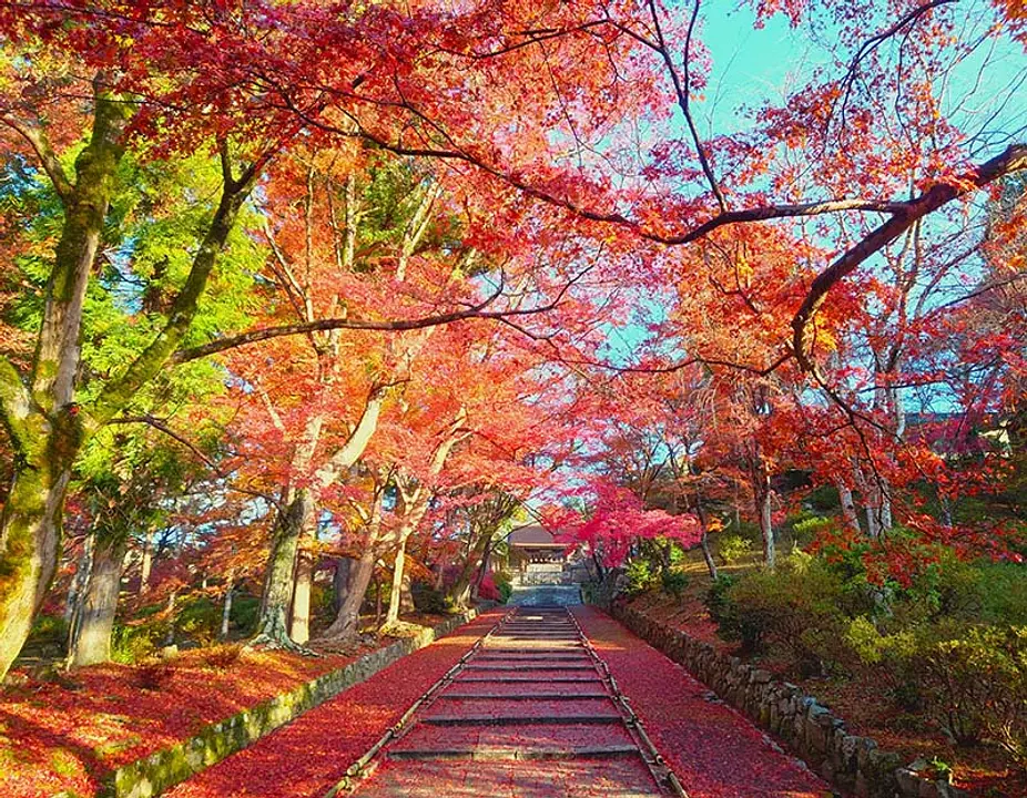 【毘沙門堂】紅葉