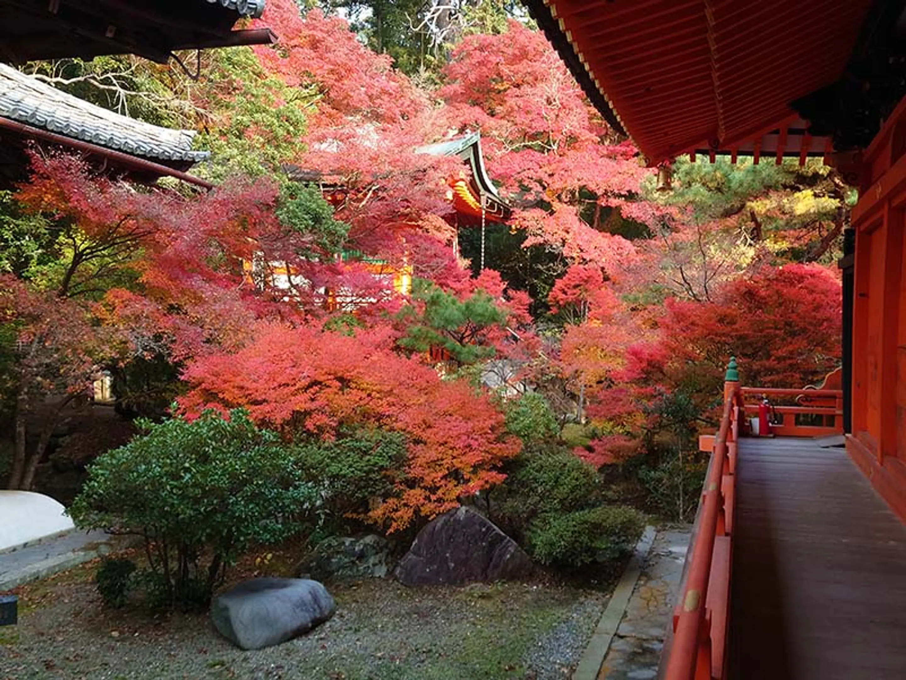 【毘沙門堂】紅葉