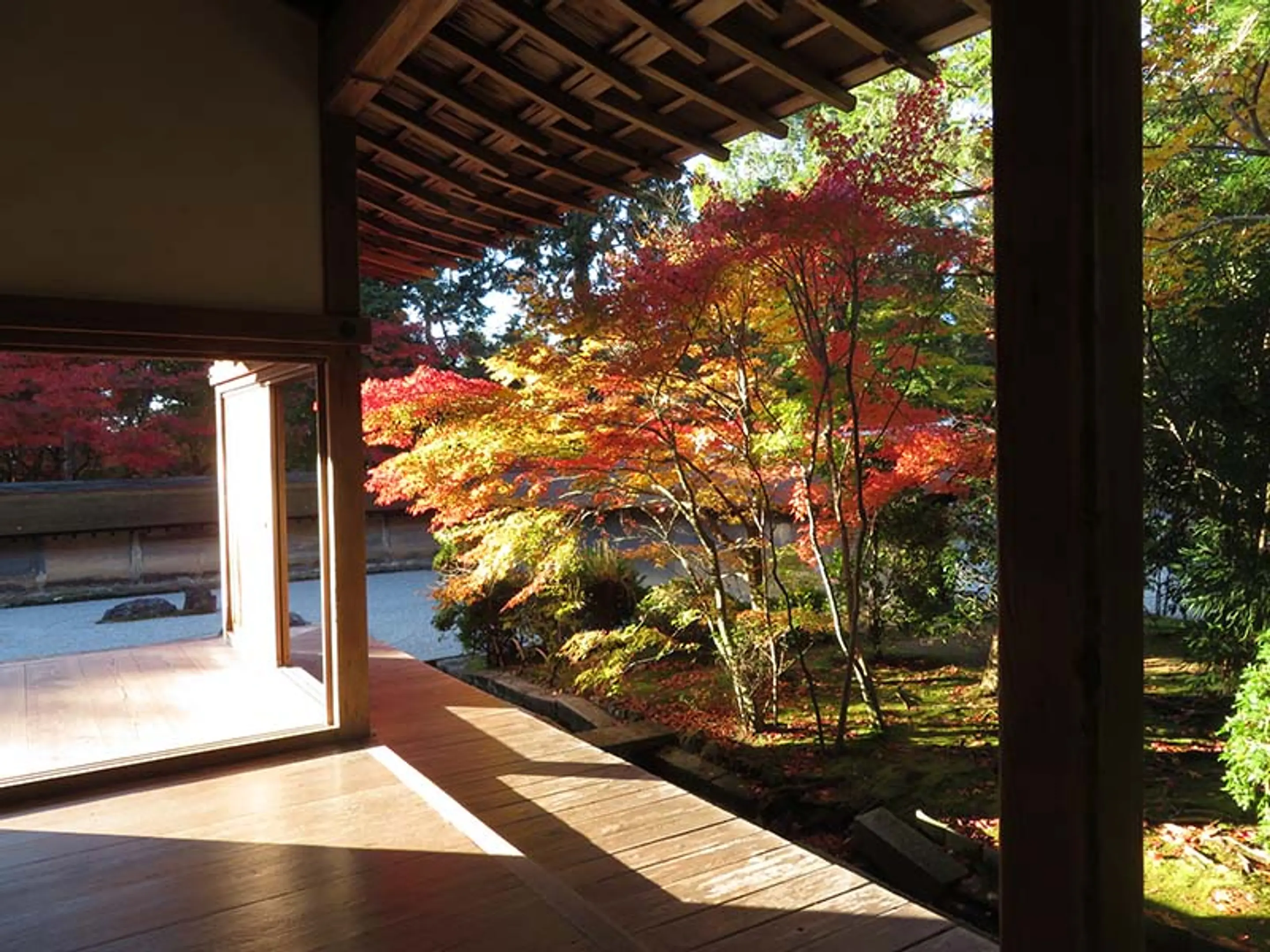 【龍安寺】紅葉
