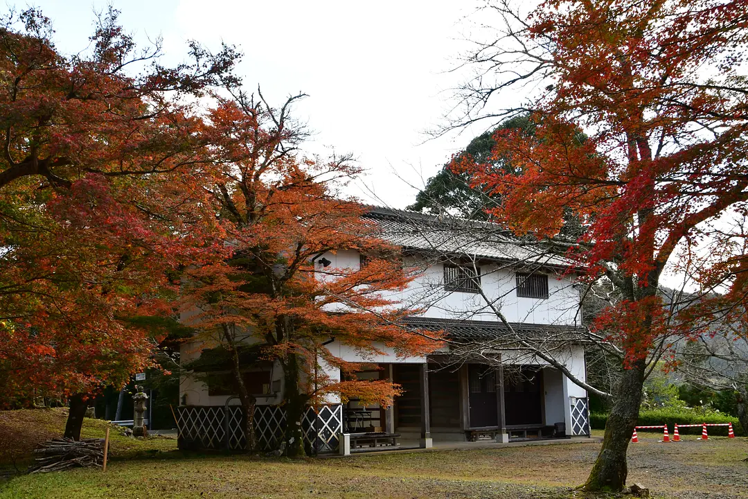 山家城址公園（紅葉）.JPG