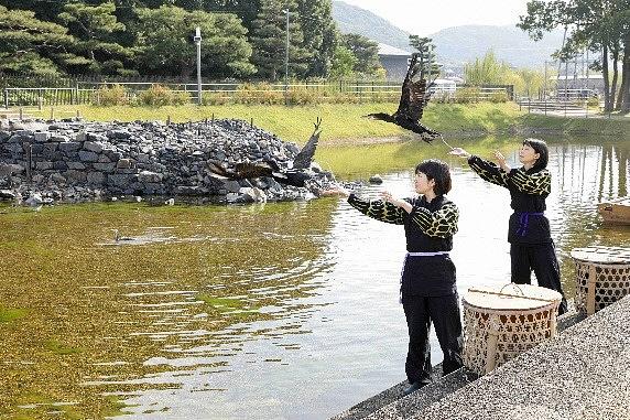 春と秋に実施が予定されている「放ち鵜飼」。