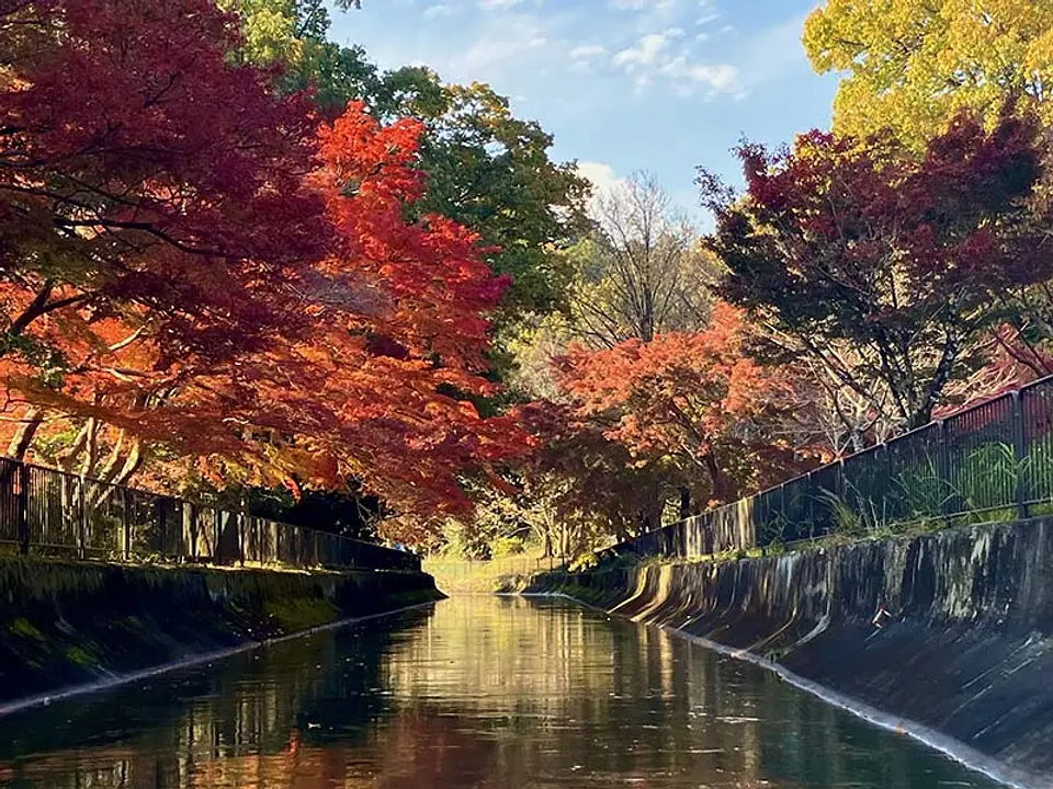 琵琶湖疏水船