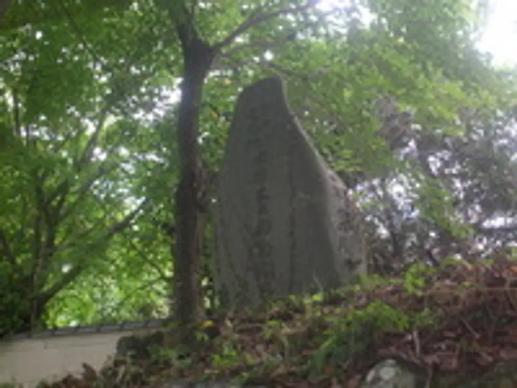 【中古】 郷の城/新風舎/揖斐又太郎 中古】 郷の城/新風舎/揖斐又太郎
