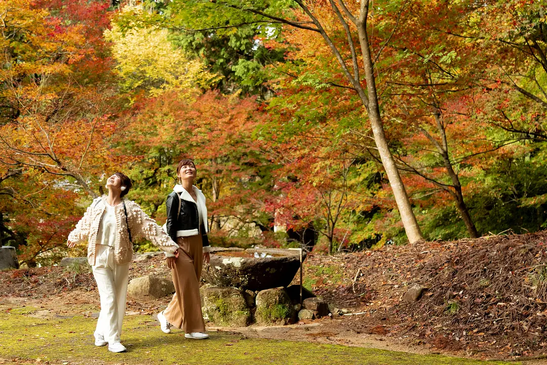 金刀比羅神社の紅葉