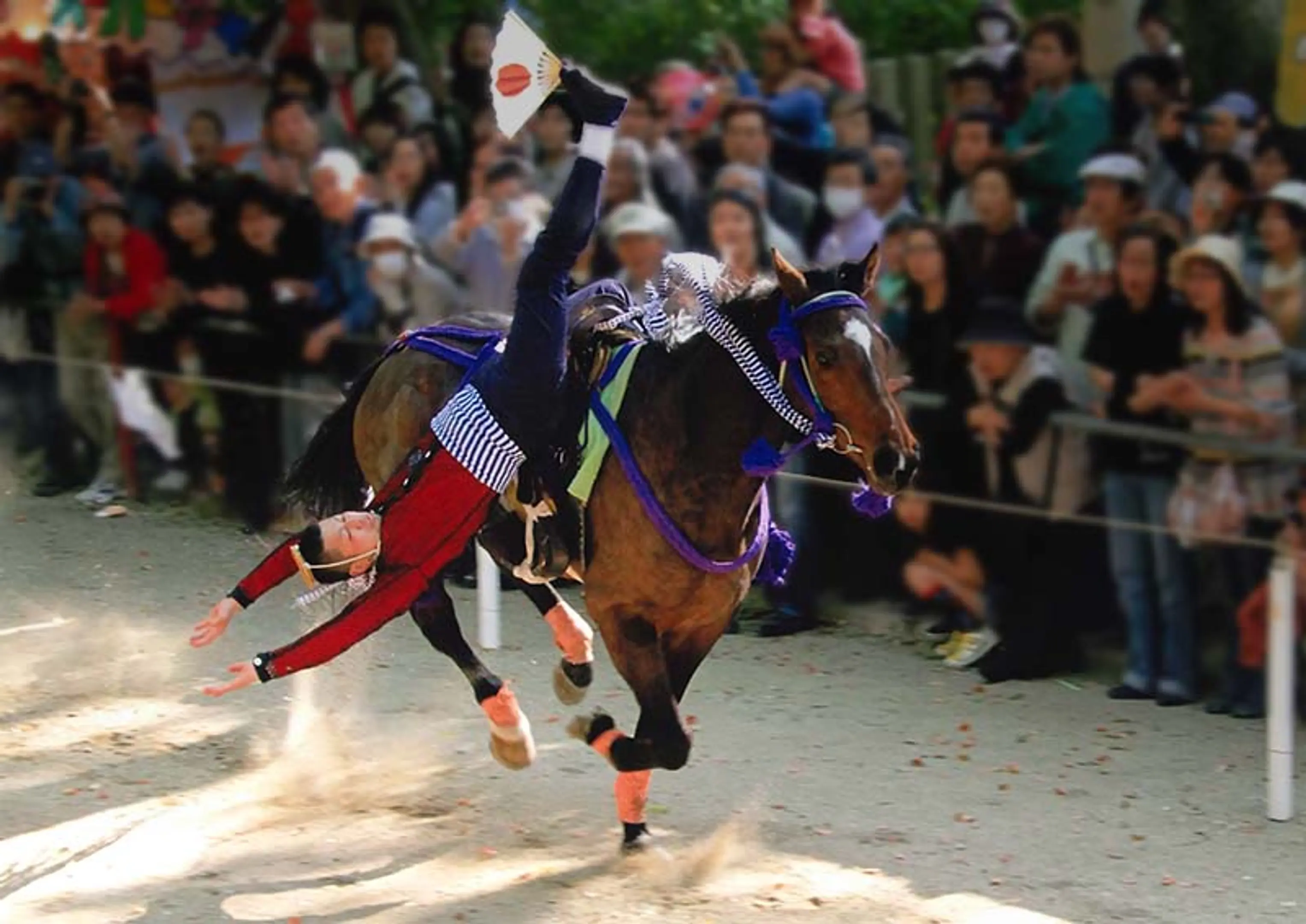 駈馬（藤下がり）_調整_2025106 (002).jpg